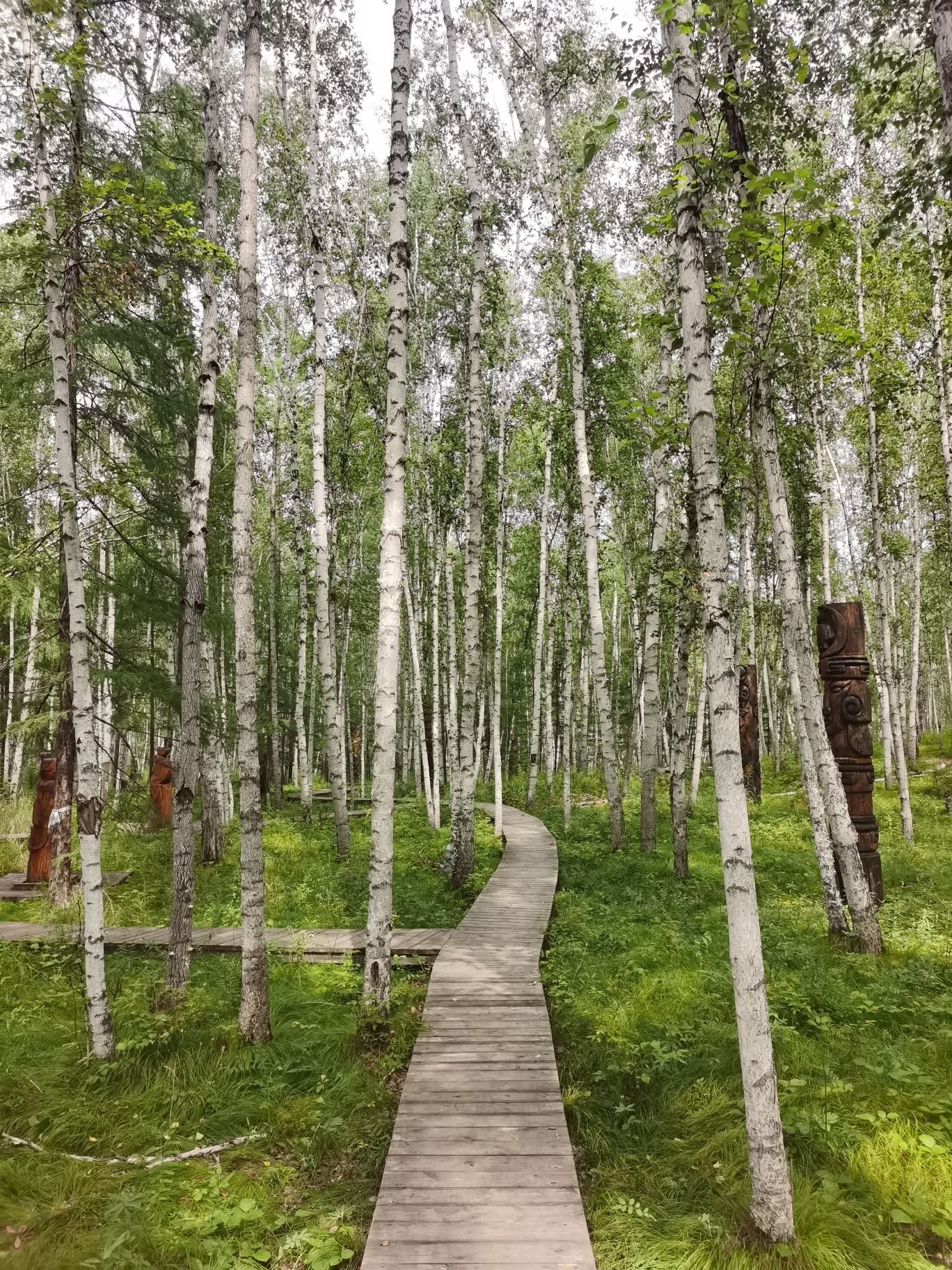 哈乌尔河景区(暂停开放)旅行图片 2