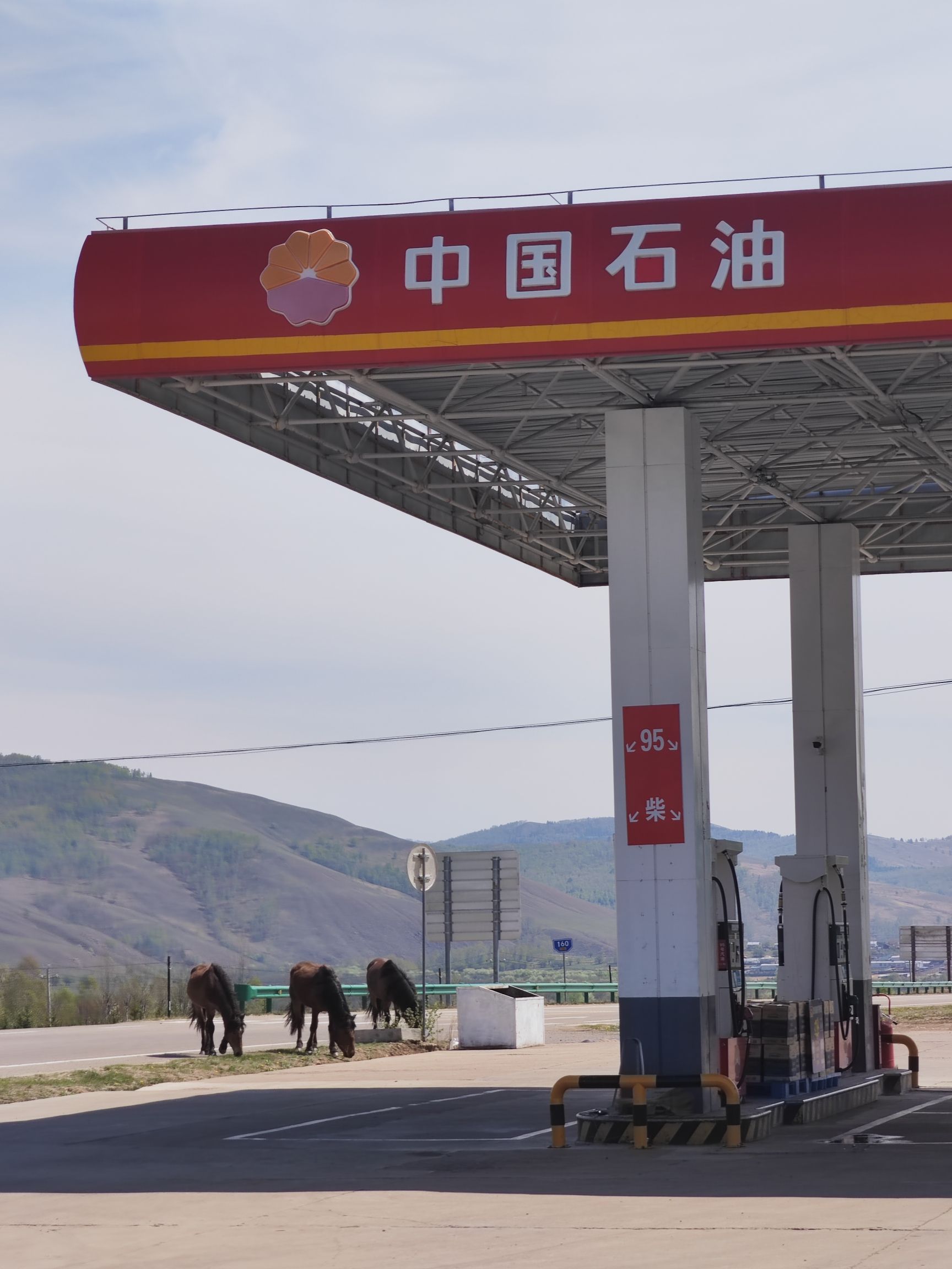 中国石油室韦加油站