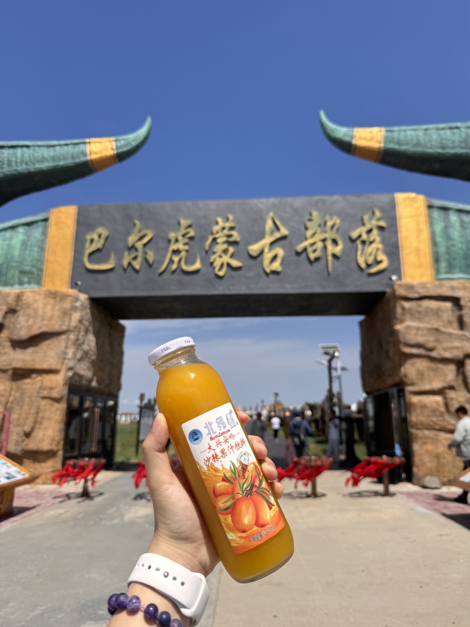呼伦贝尔大草原巴尔虎蒙古部落(暂停开放)旅行图片 2