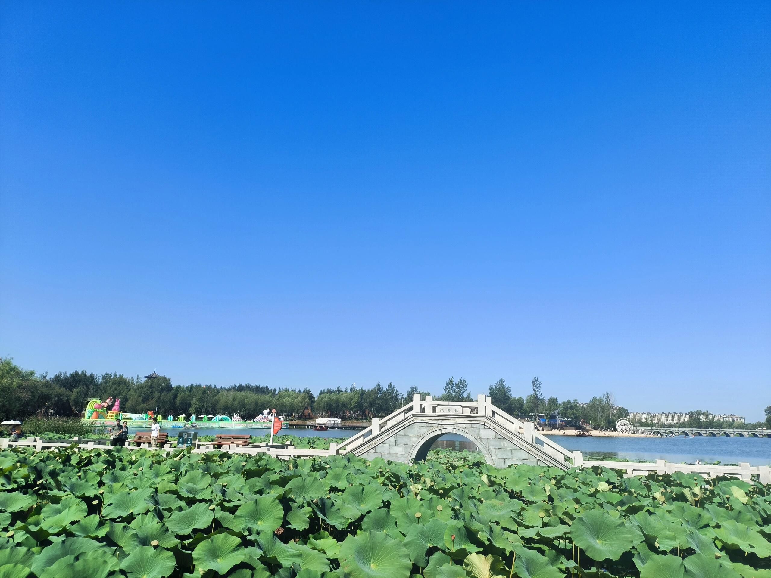 北湖公园旅行图片 1