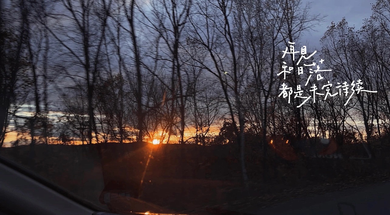 达尔滨湖国家森林公园(暂停开放)旅行图片 2