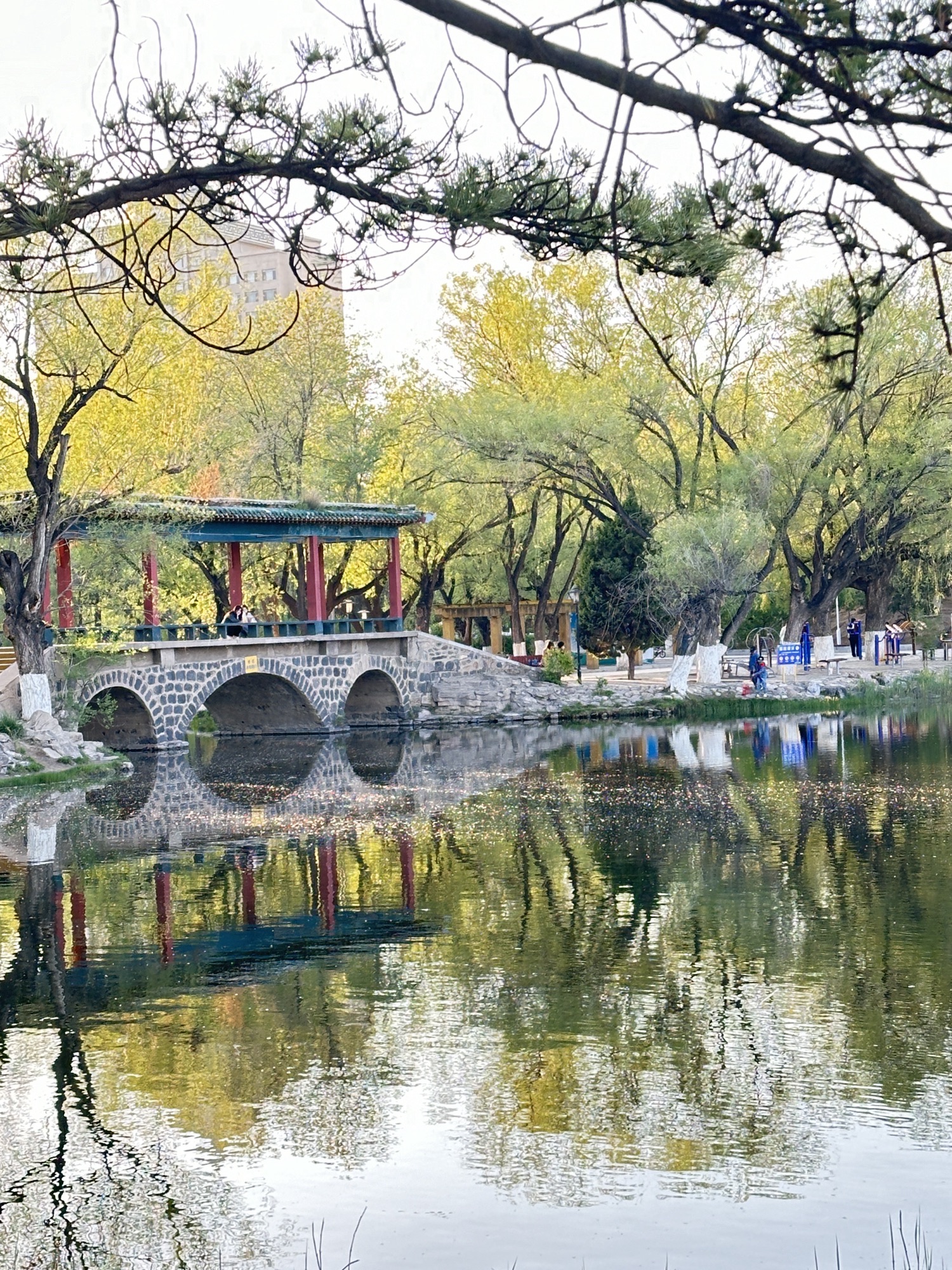 满都海公园旅行图片 3