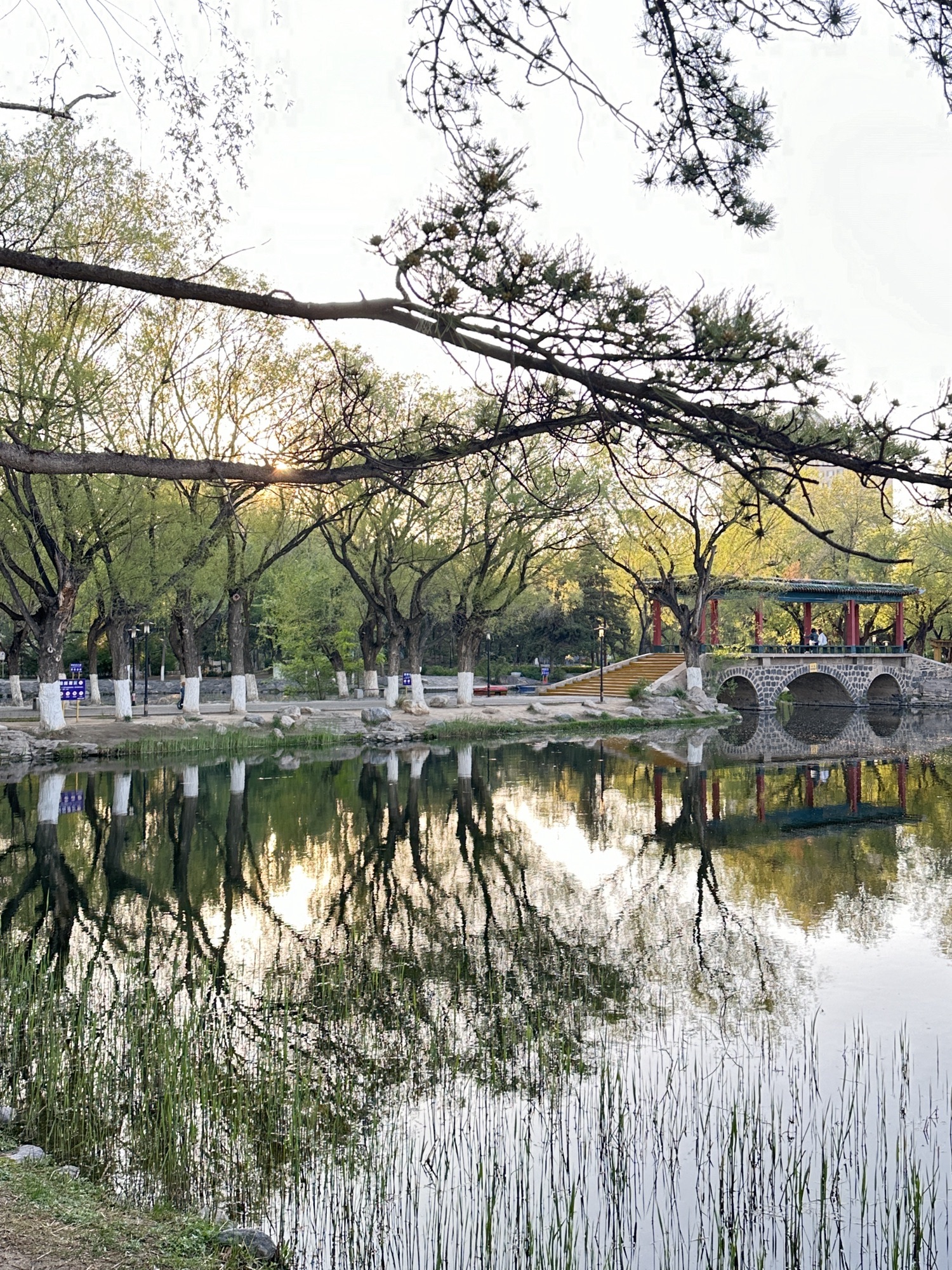 满都海公园旅行图片 1