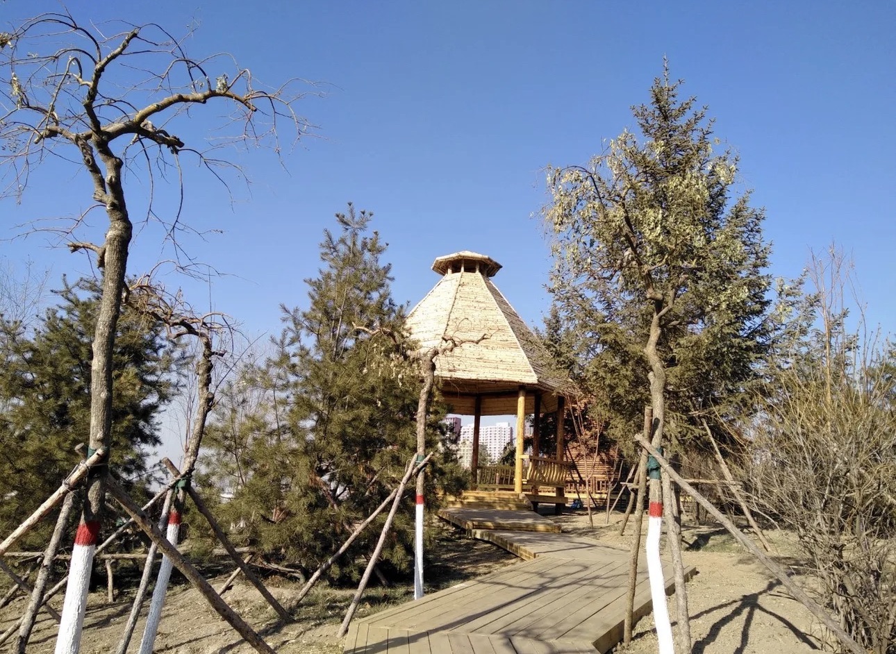 万和体育公园旅行图片 3