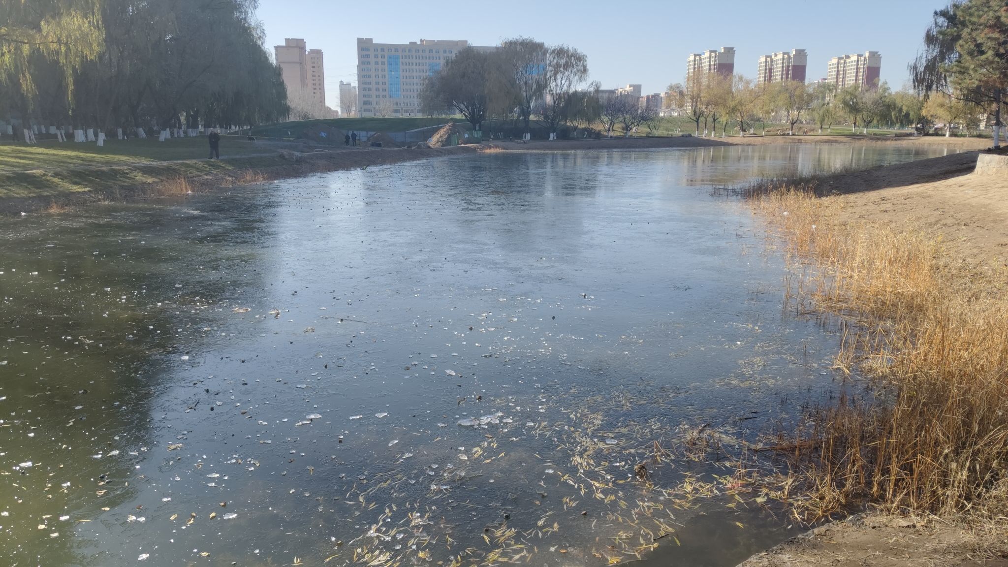 万和体育公园旅行图片 2