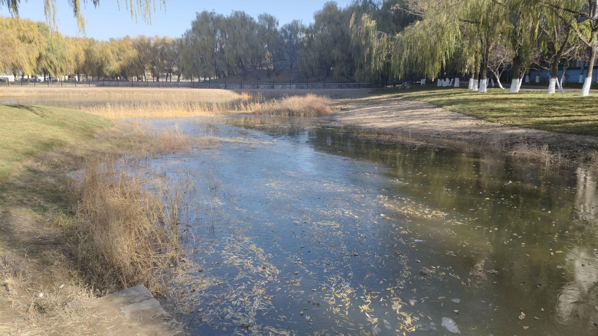 万和体育公园旅行图片 3