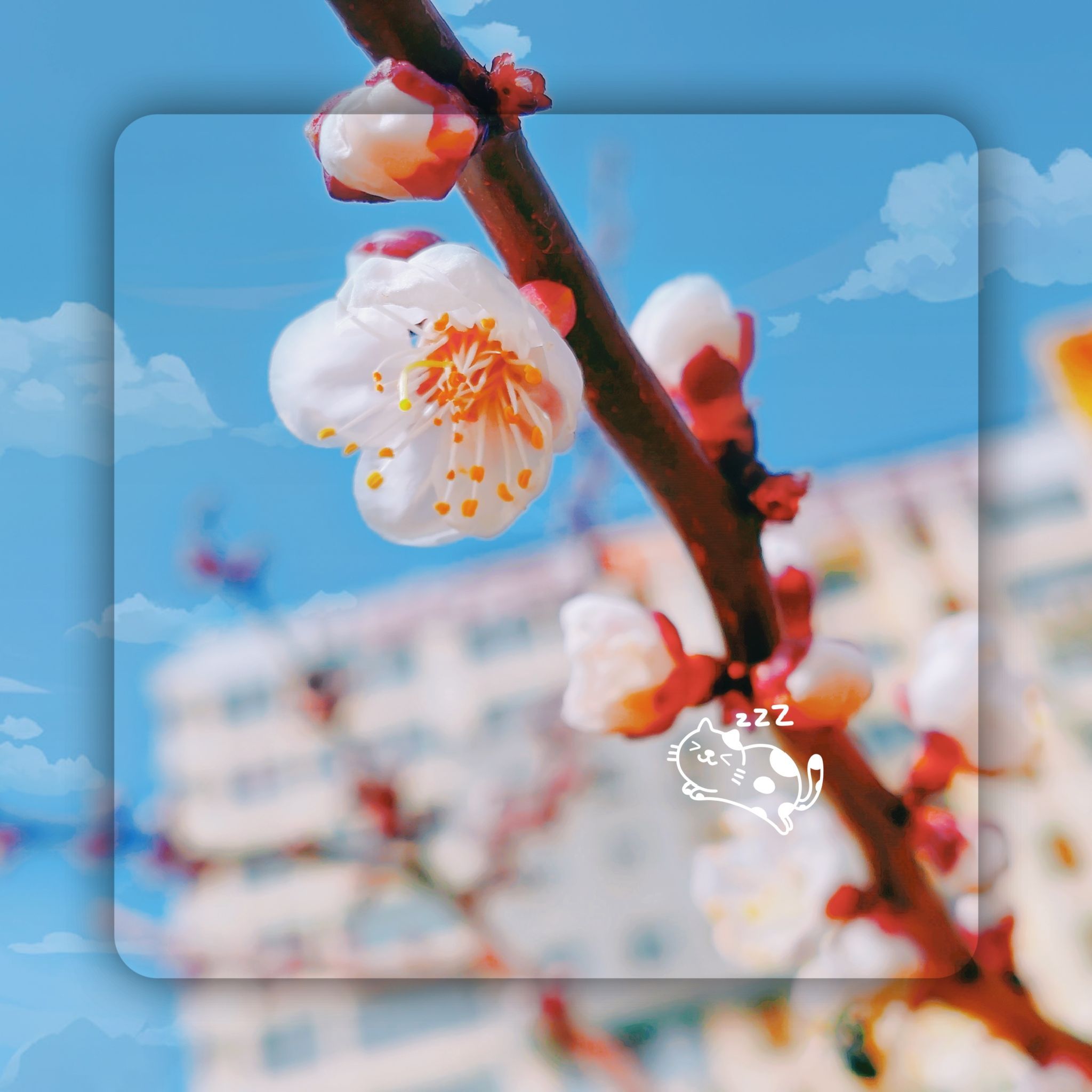 公主府公园旅行图片 1