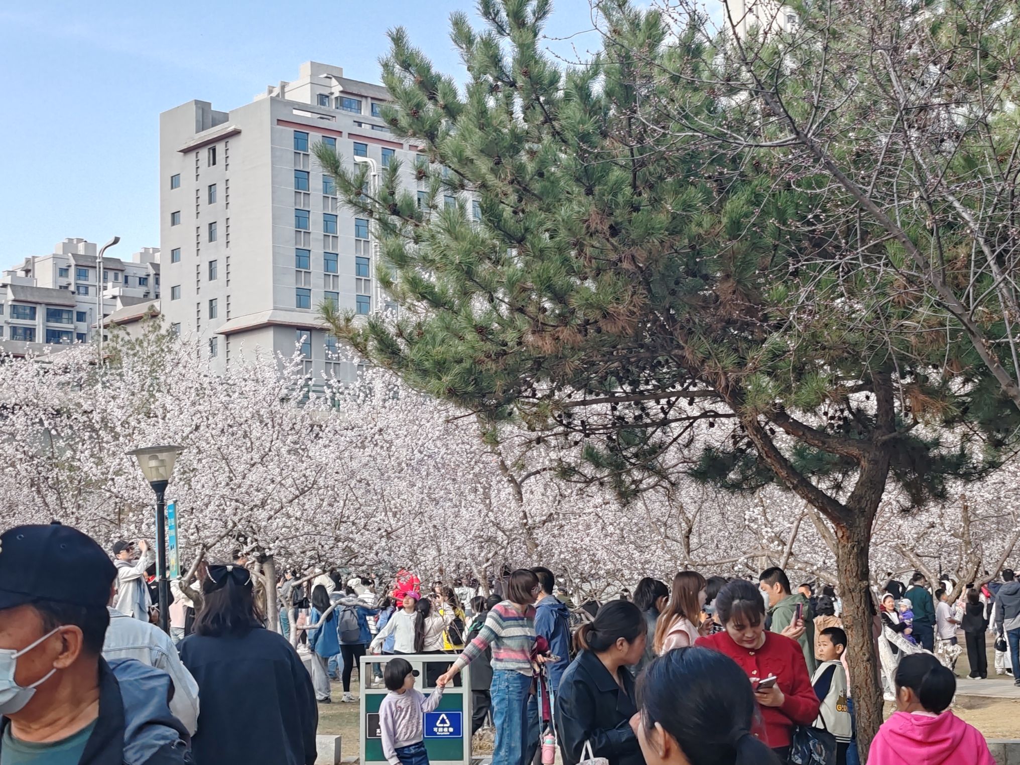 公主府公园旅行图片 3