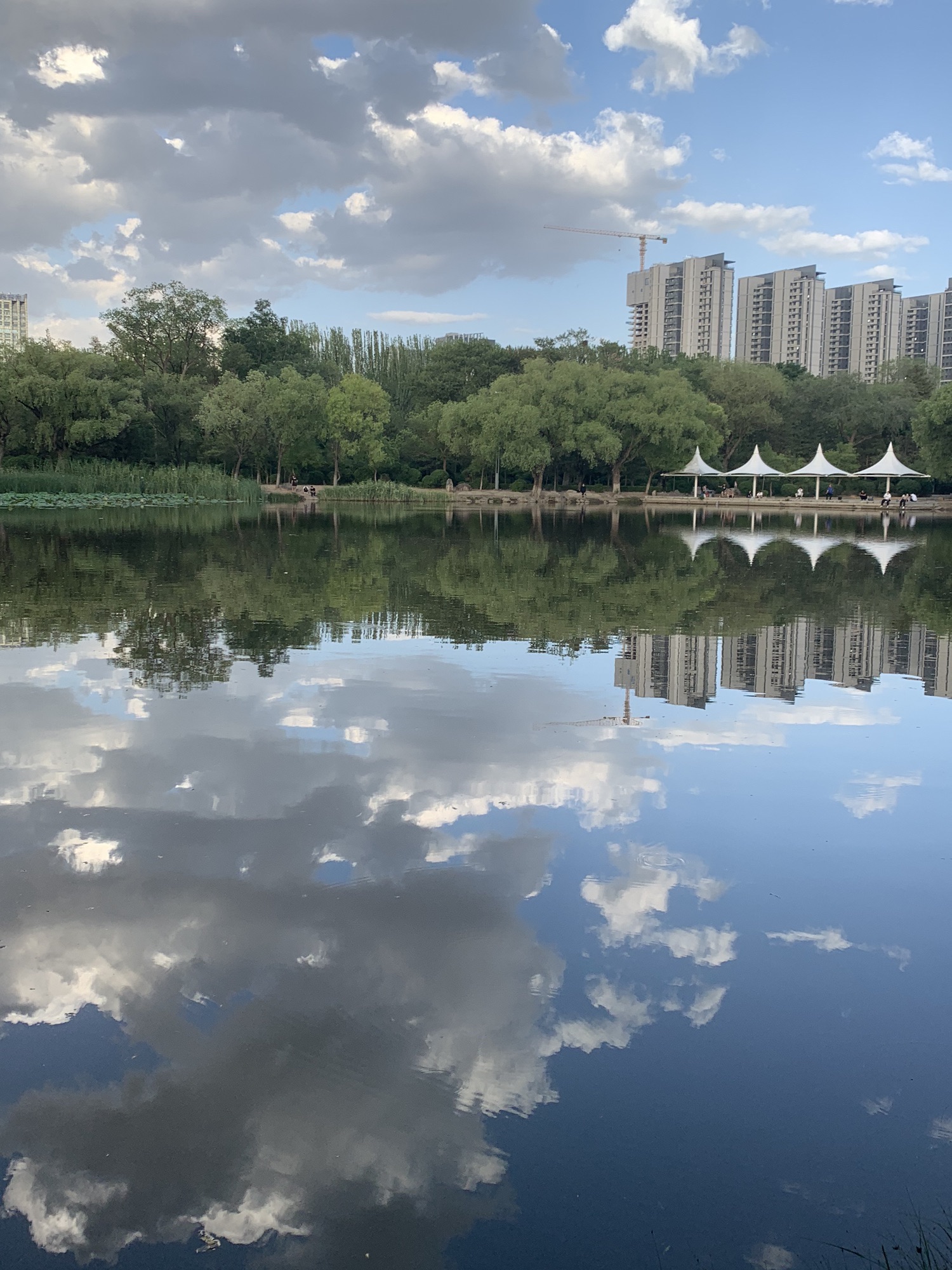 青城公园旅行图片 3
