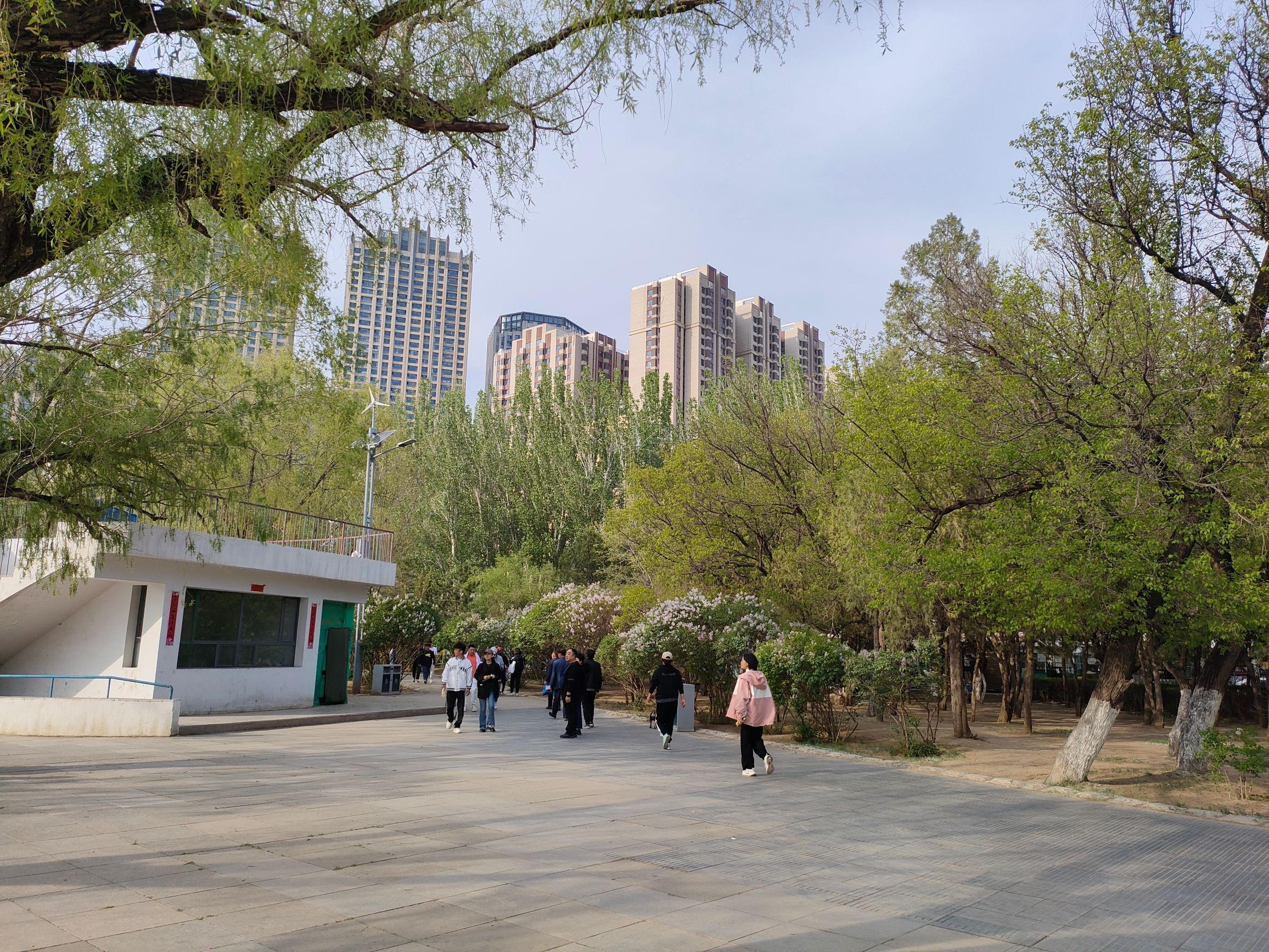 青城公园旅行图片 1