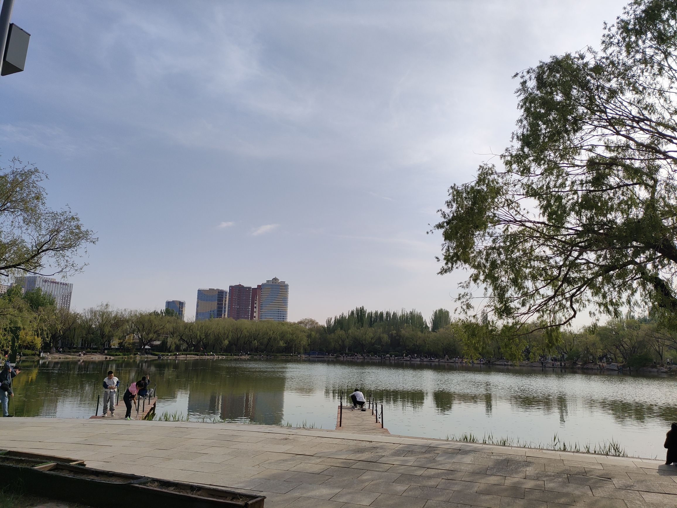 青城公园旅行图片 2