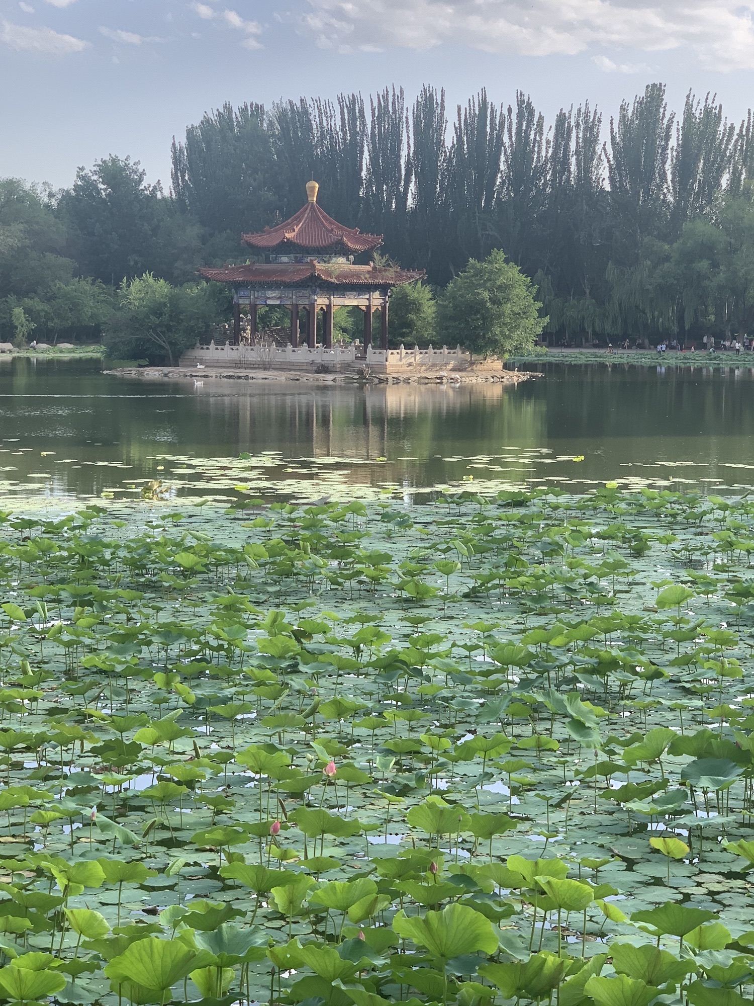 青城公园旅行图片 1