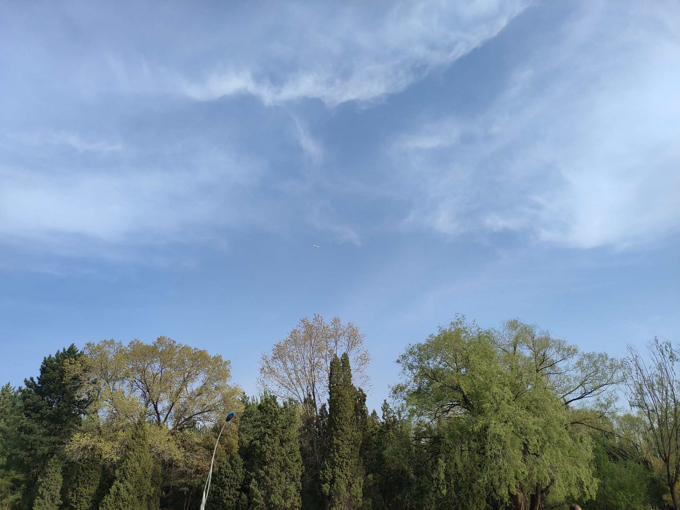 青城公园旅行图片 3