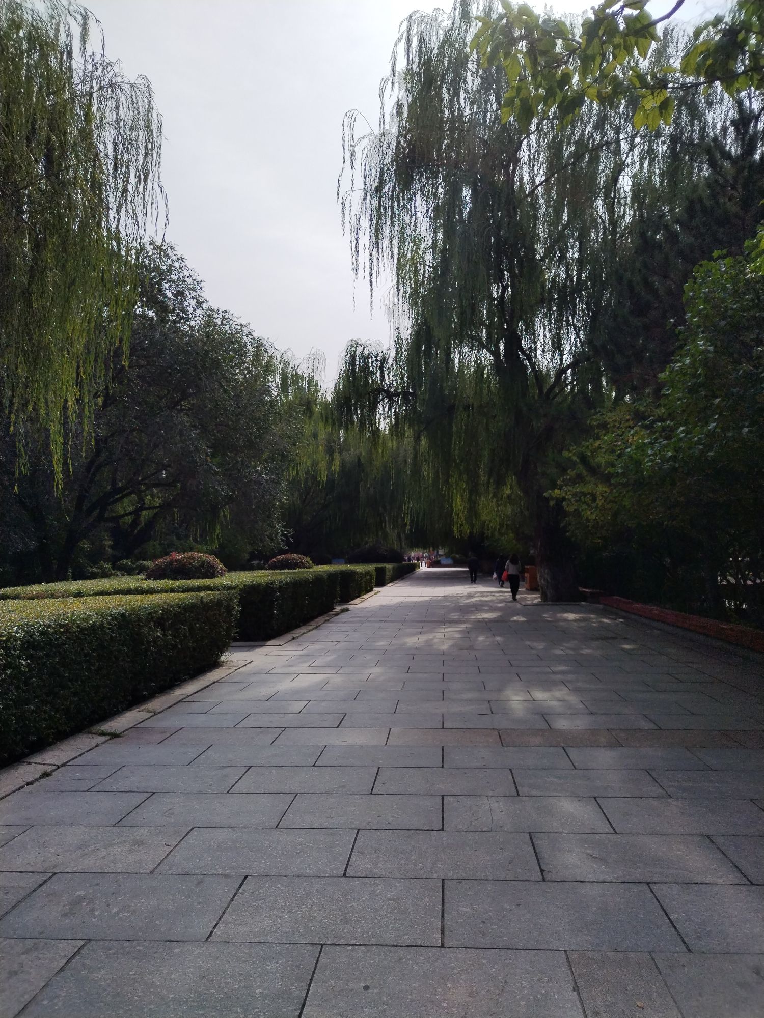 青城公园旅行图片 1