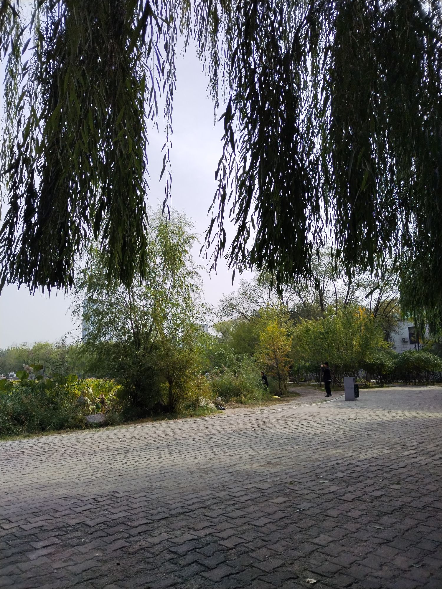 青城公园旅行图片 3