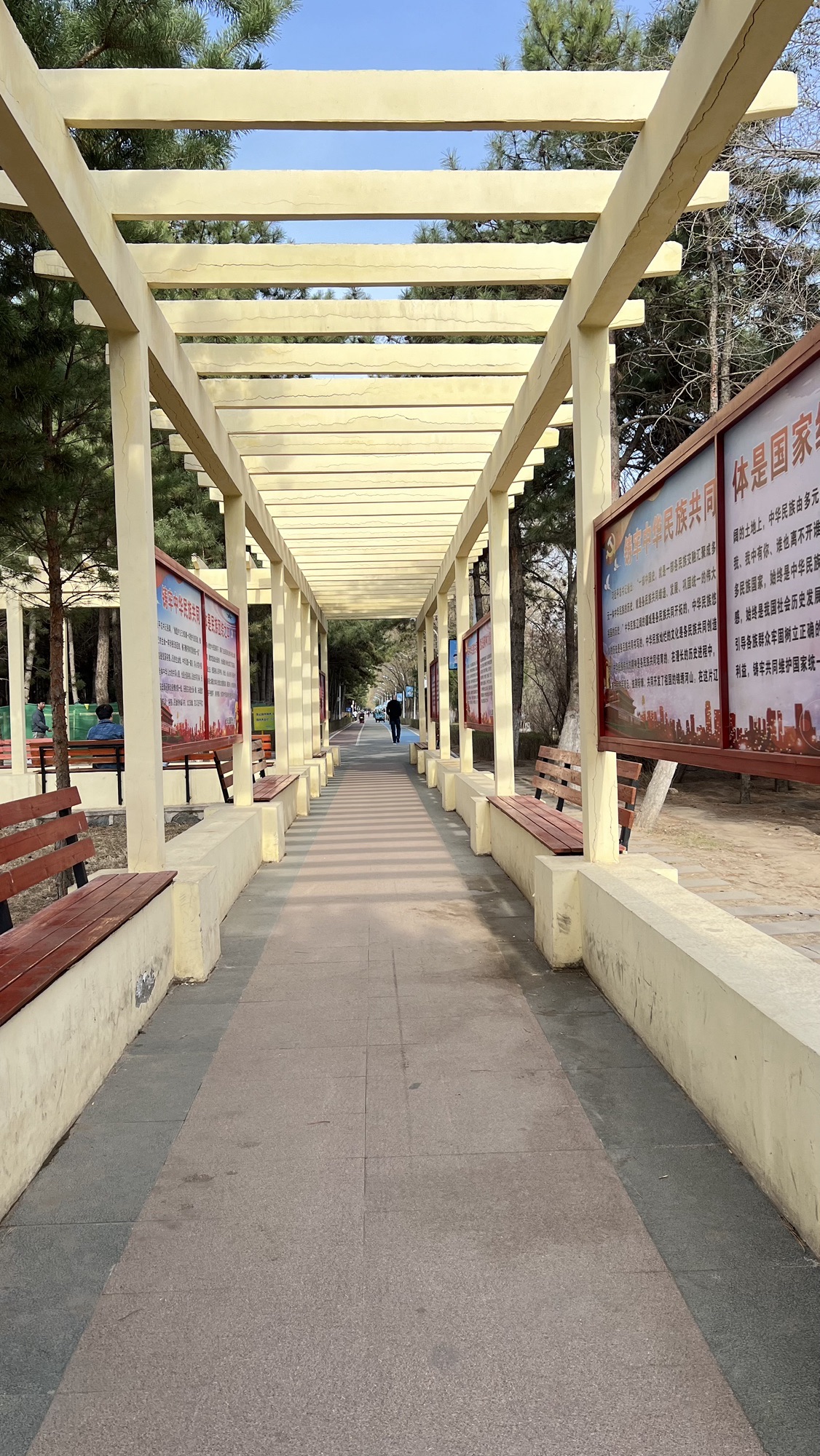 北郊公园旅行图片 2