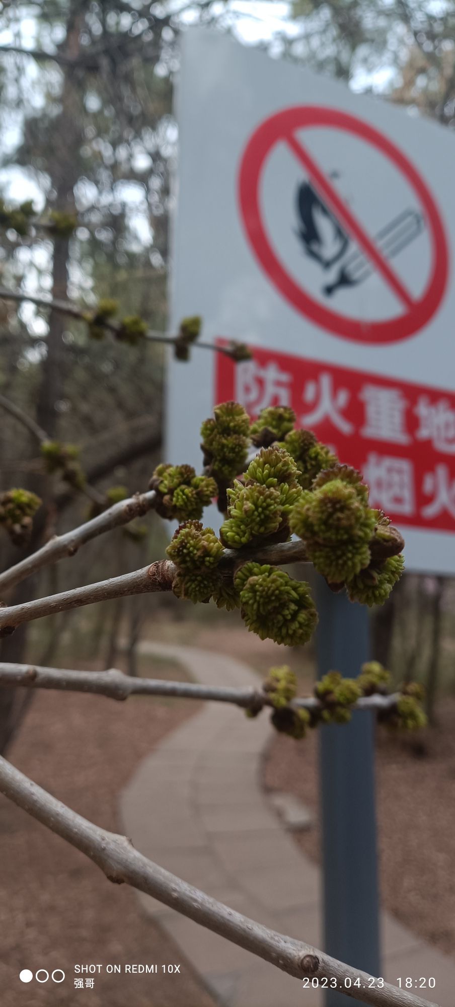 北郊公园旅行图片 2