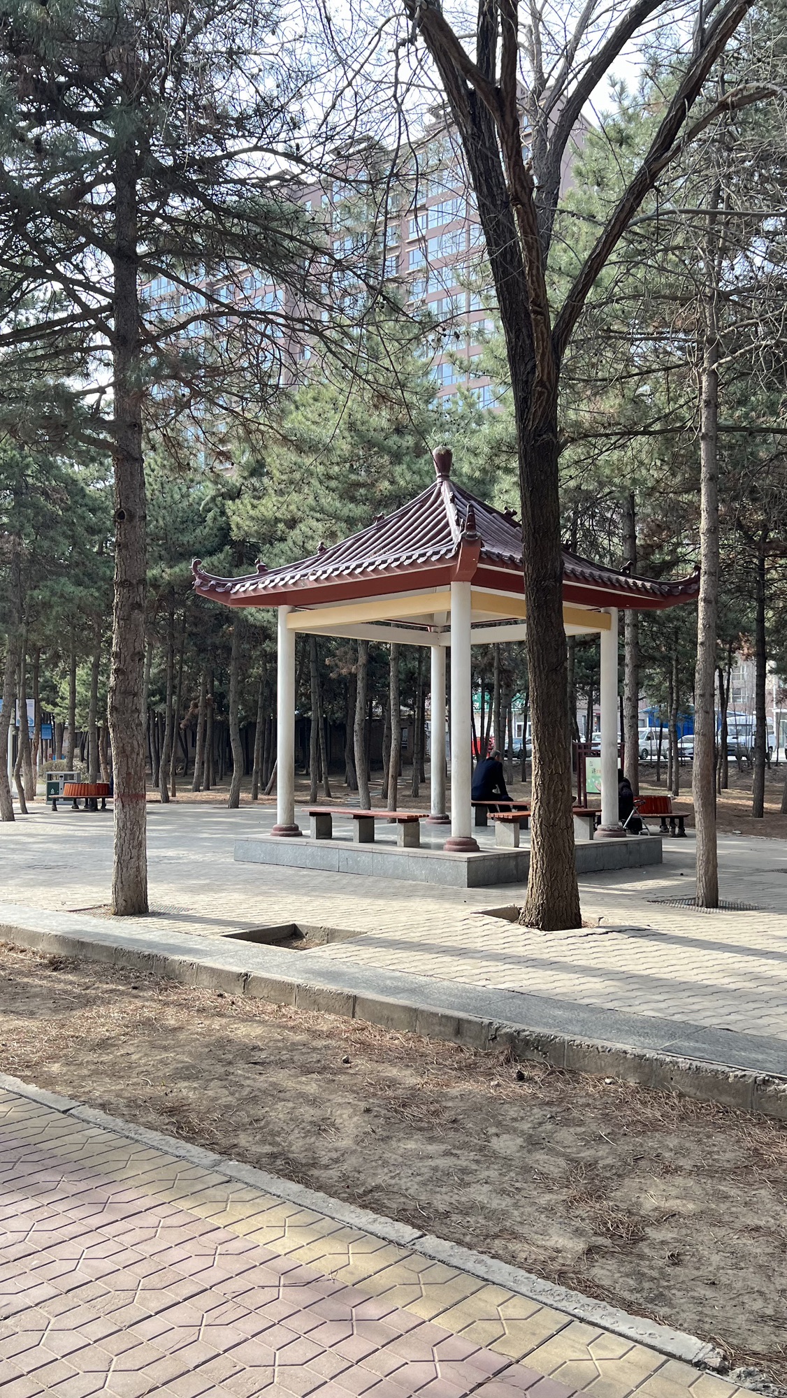 北郊公园旅行图片 3