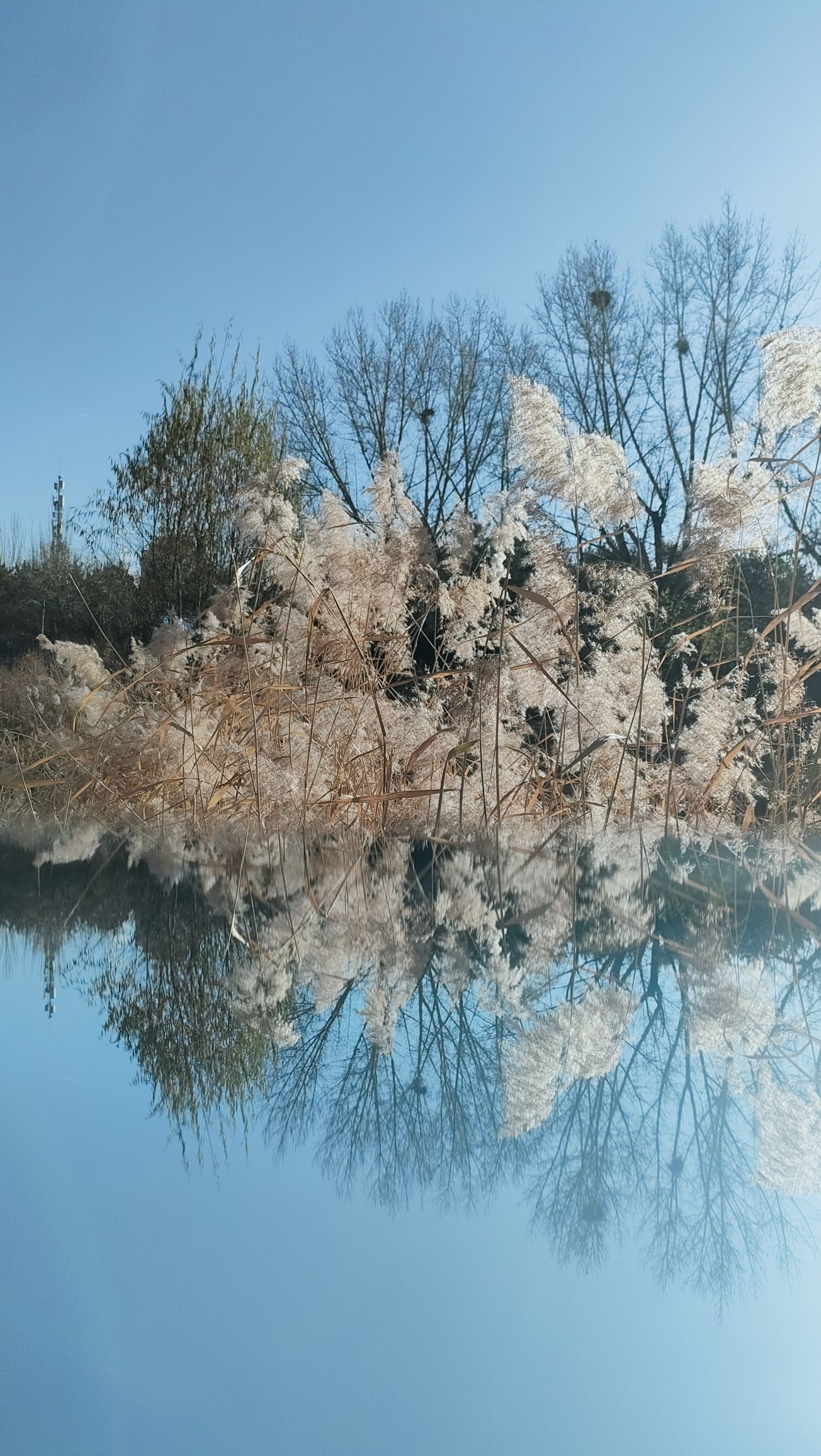 北郊公园旅行图片 2