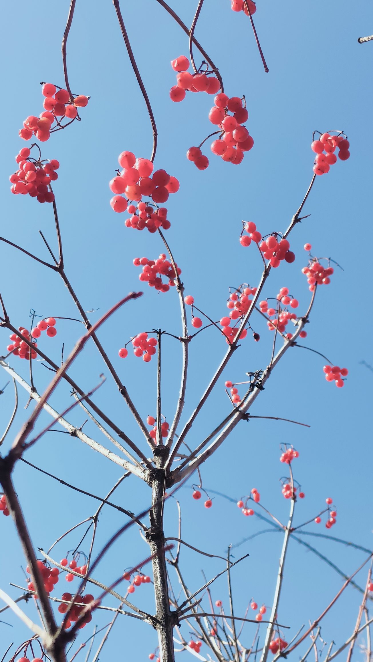 北郊公园旅行图片 1