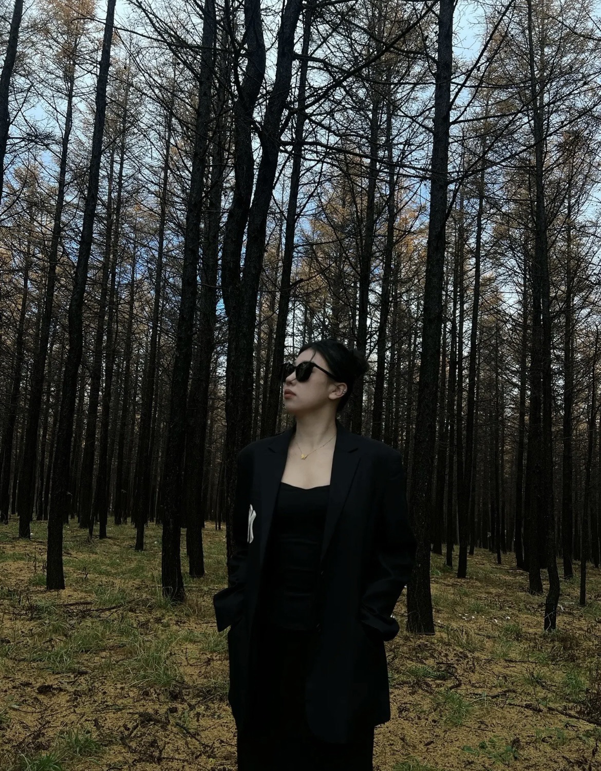哈达门高原牧场旅行图片 2