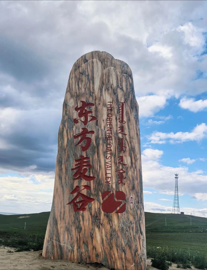 哈达门高原牧场旅行图片 2