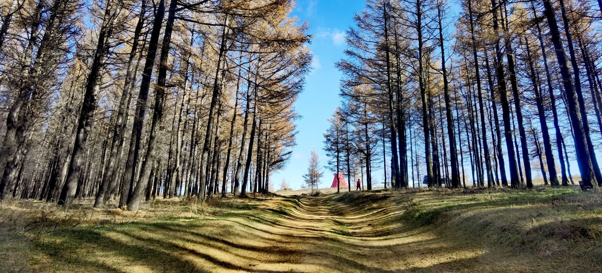 哈达门高原牧场旅行图片 1