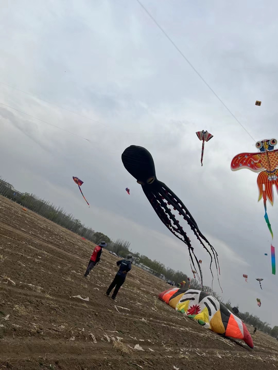 蒙古风情园(暂停开放)旅行图片 2