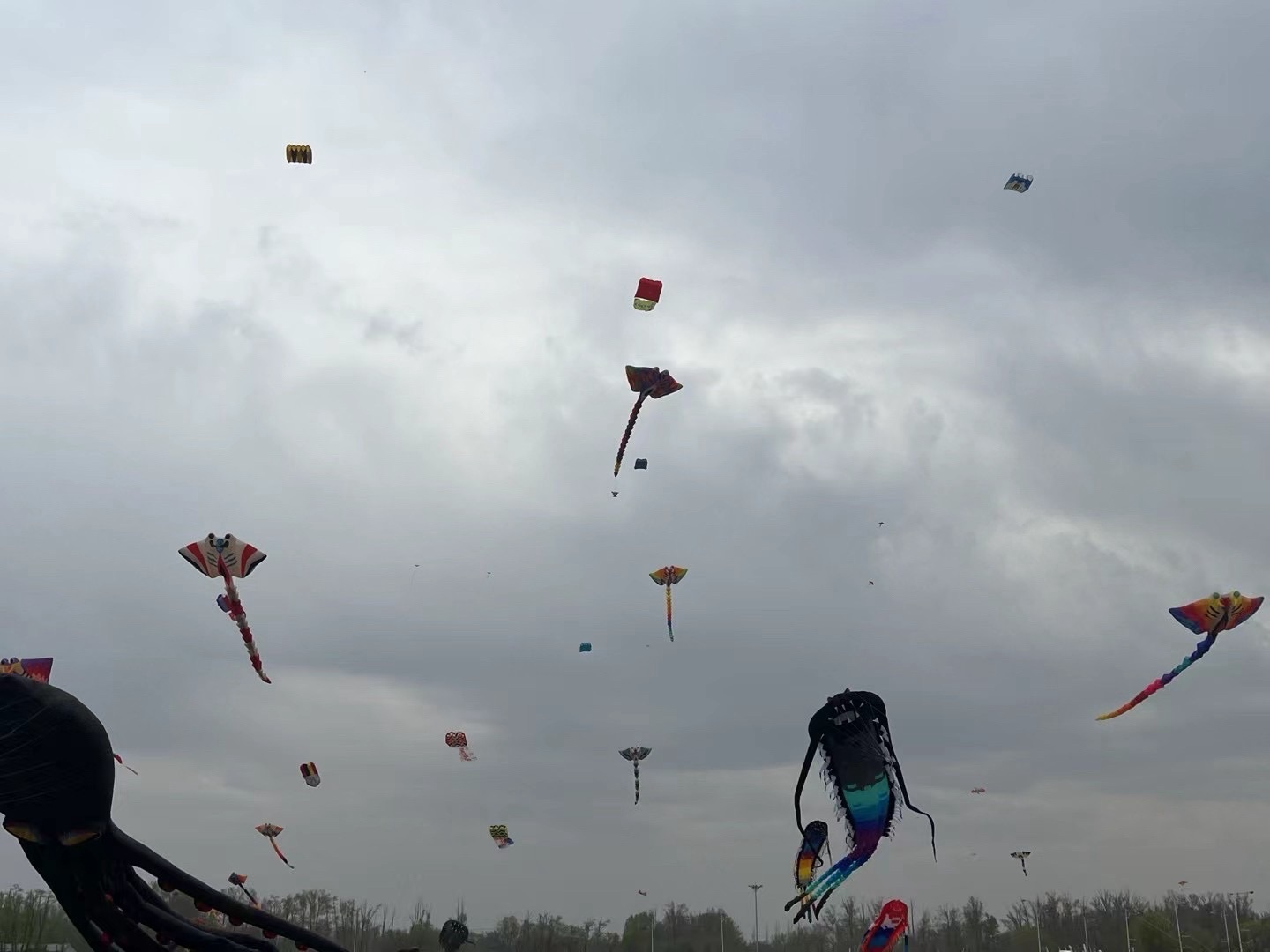 蒙古风情园(暂停开放)旅行图片 1