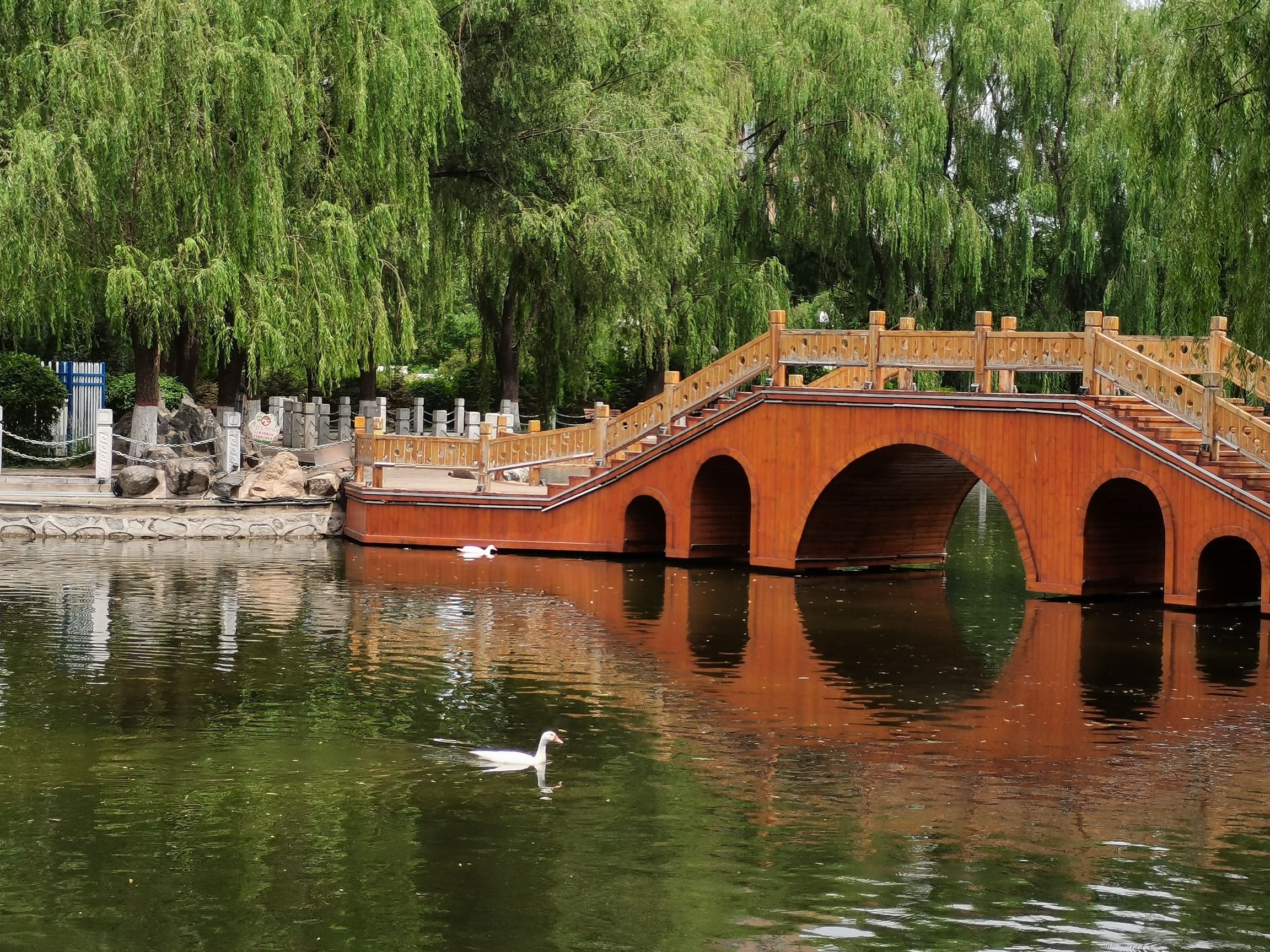 乌兰夫公园旅行图片 3