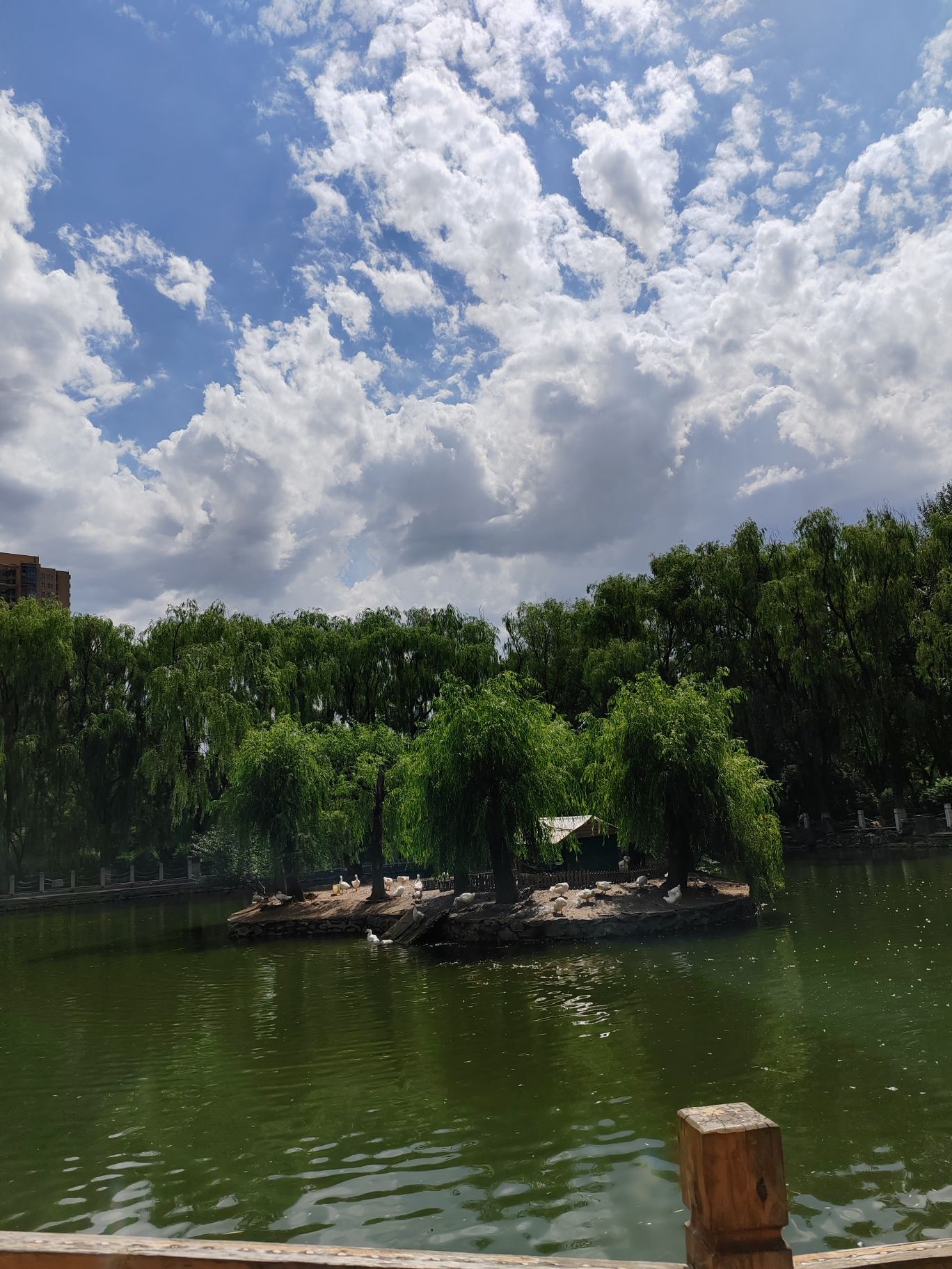 乌兰夫公园旅行图片 1