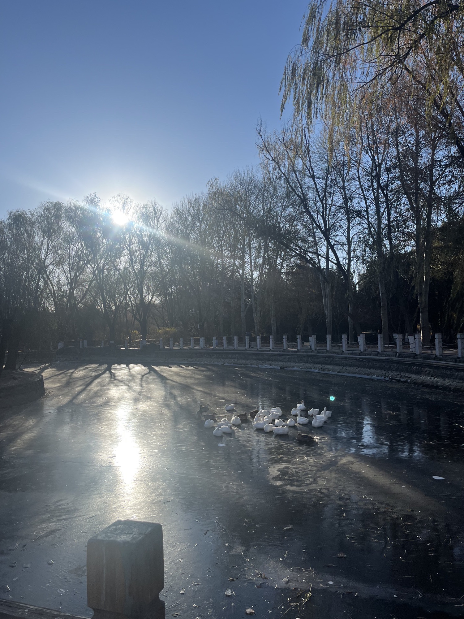 乌兰夫公园旅行图片
