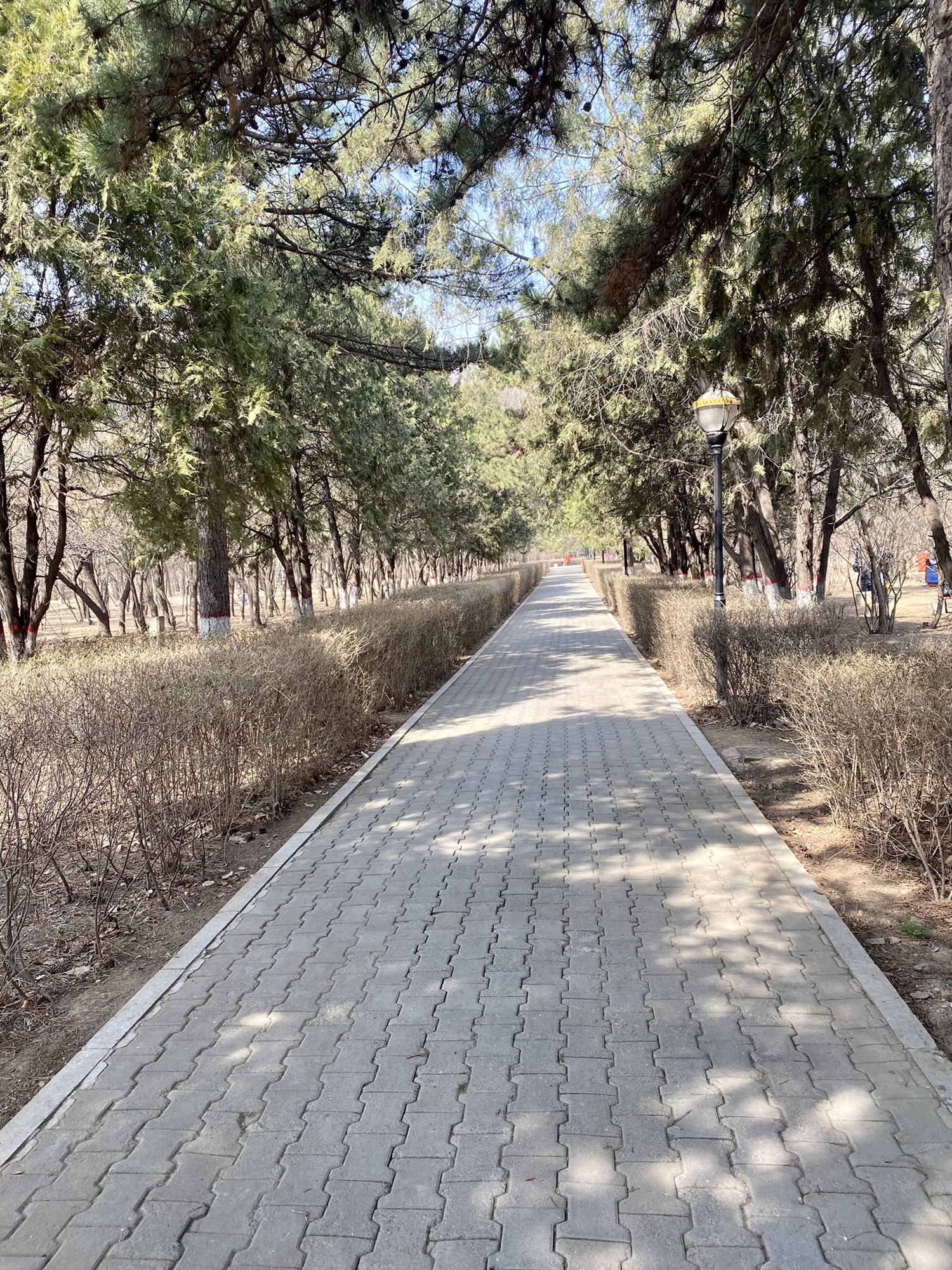 乌兰夫公园旅行图片 1