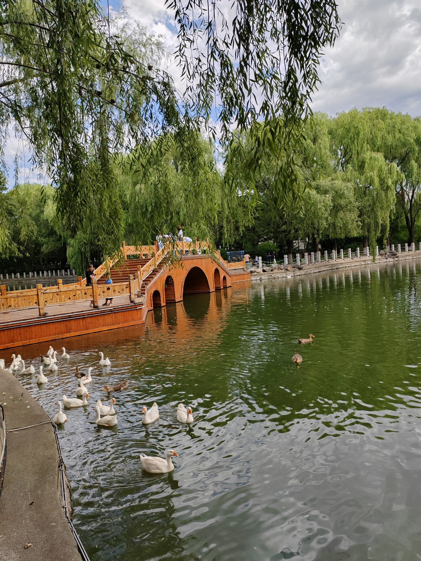 乌兰夫公园旅行图片 2