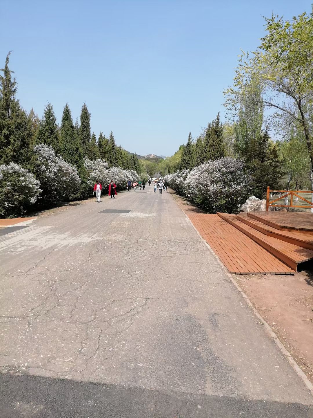 呼和浩特乌素图国家森林公园旅行图片 3