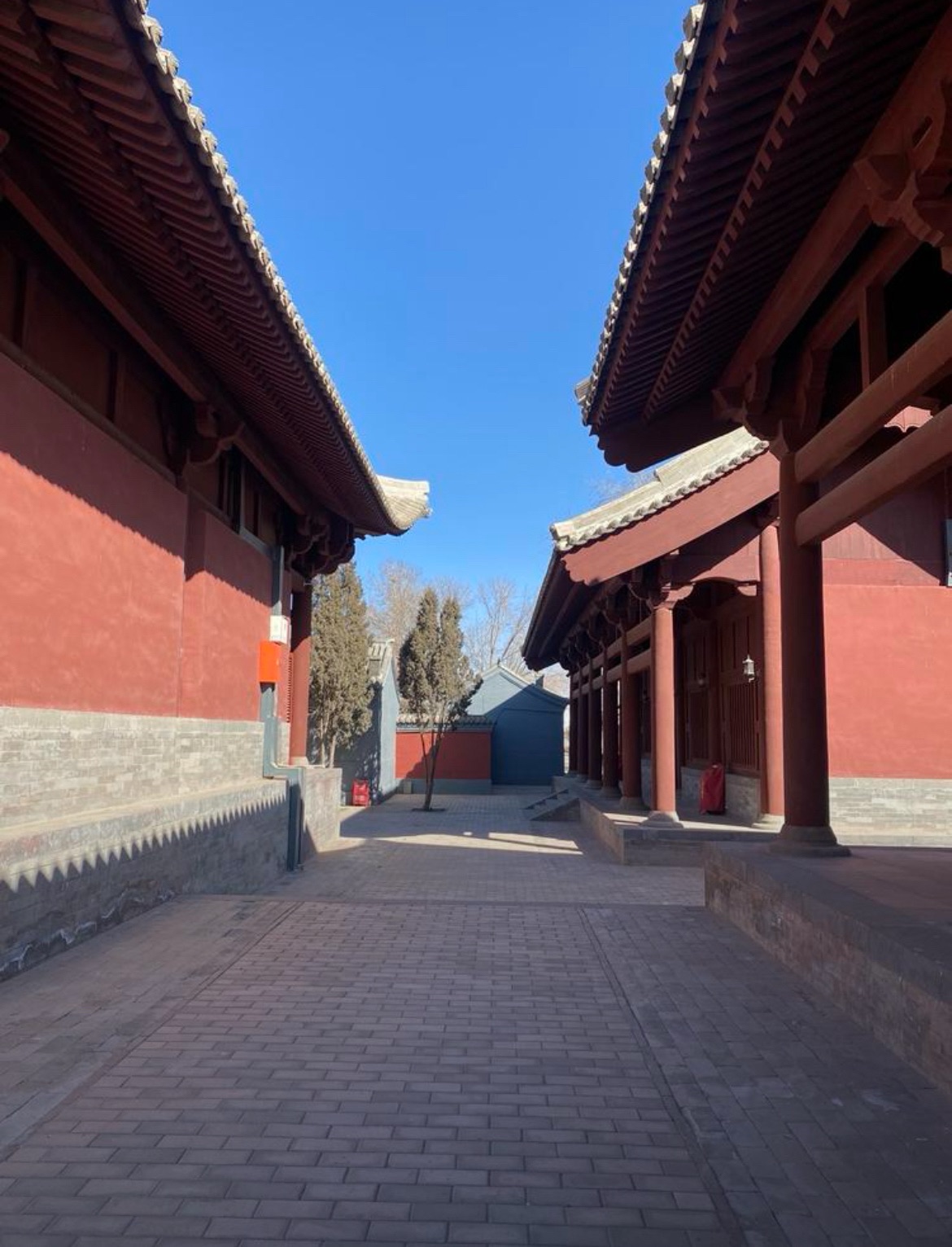丰州故城博物馆旅行图片 2