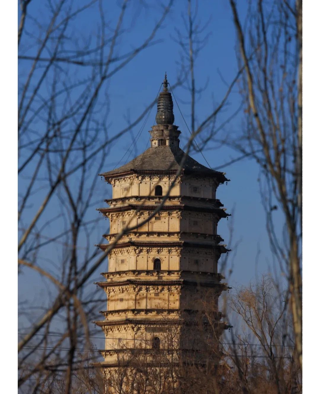 丰州故城博物馆旅行图片 1