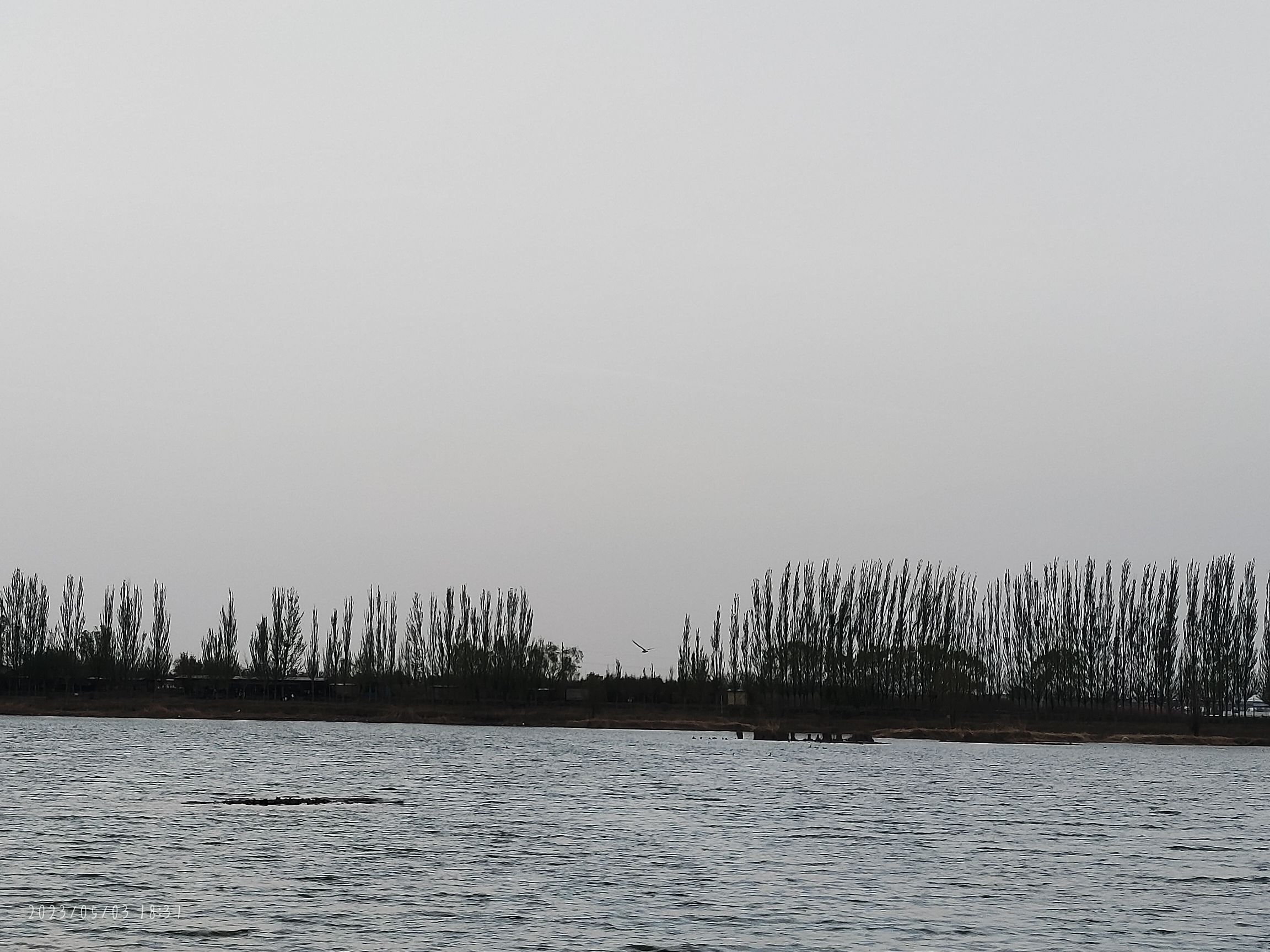 呼和浩特市南湖公园旅行图片 2