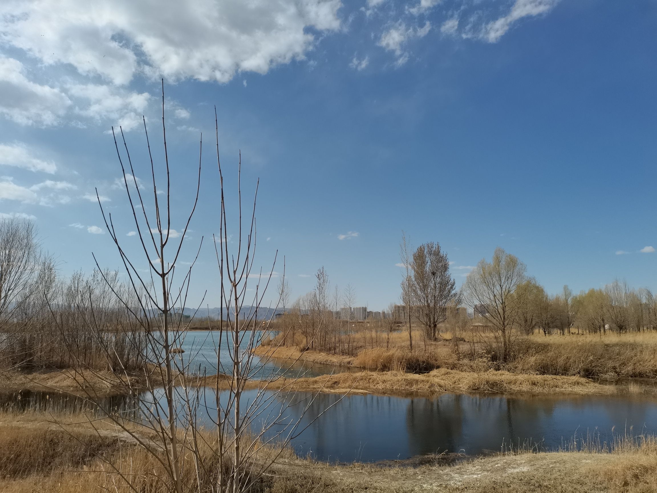 呼和浩特市南湖公园旅行图片 3