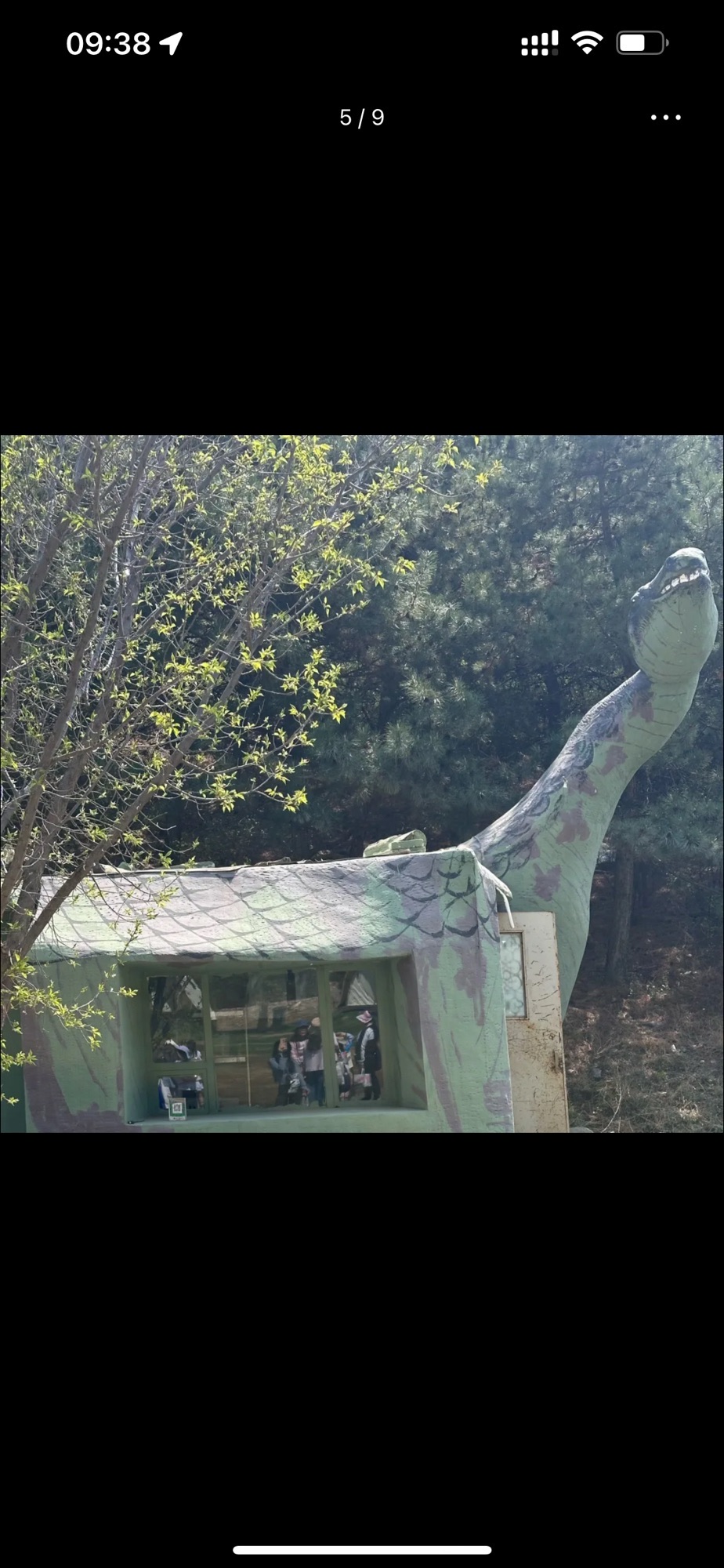 白石生态旅游景区(暂停开放)旅行图片 3