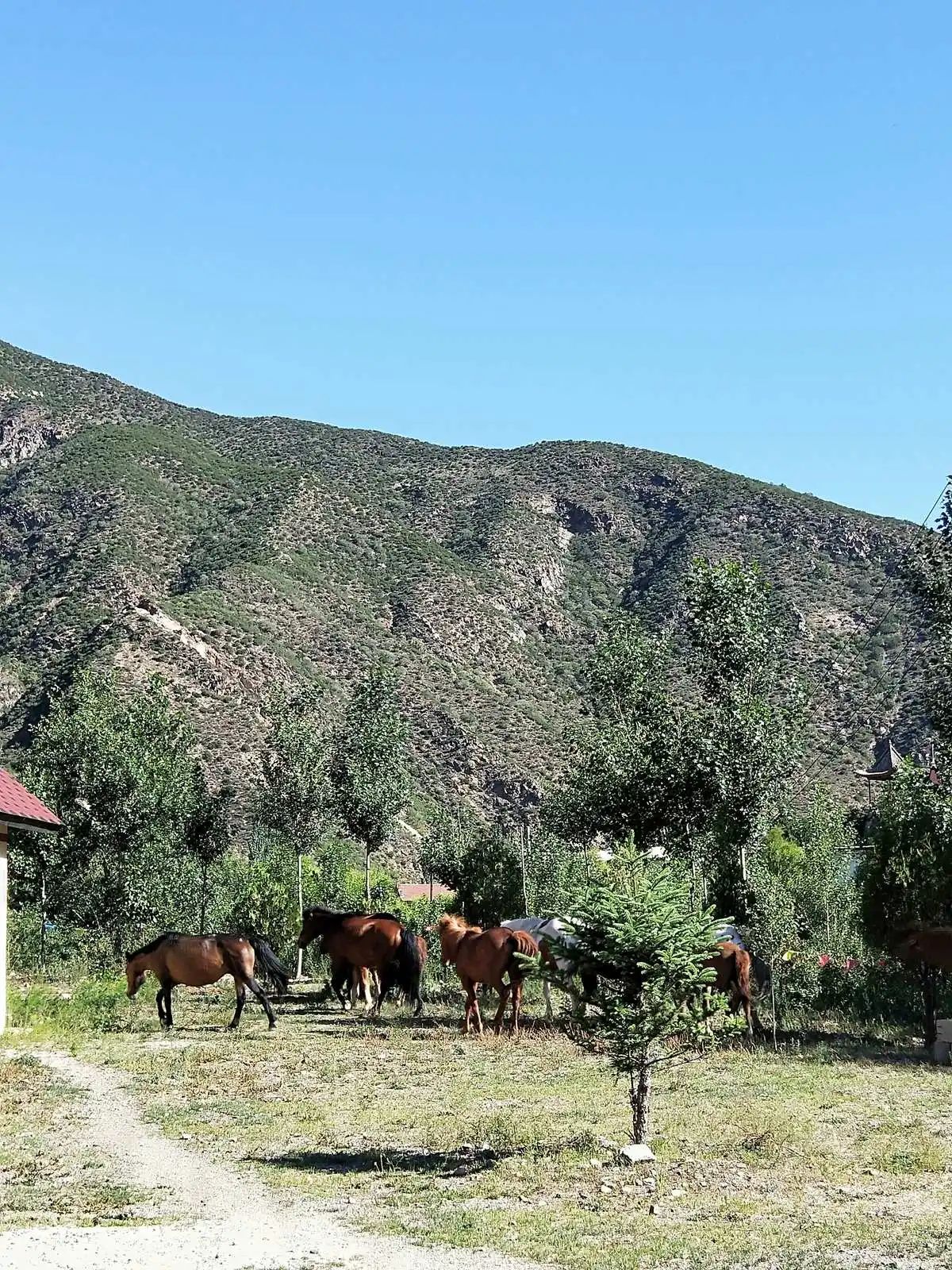 白石生态旅游景区(暂停开放)旅行图片 2