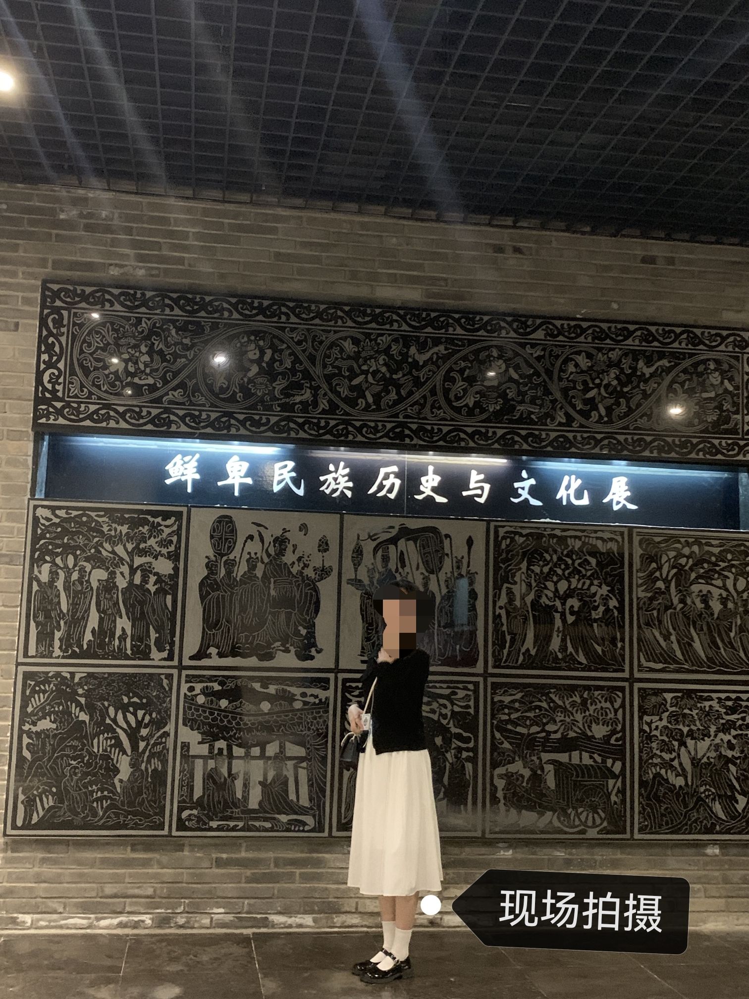 盛乐博物馆旅行图片 3