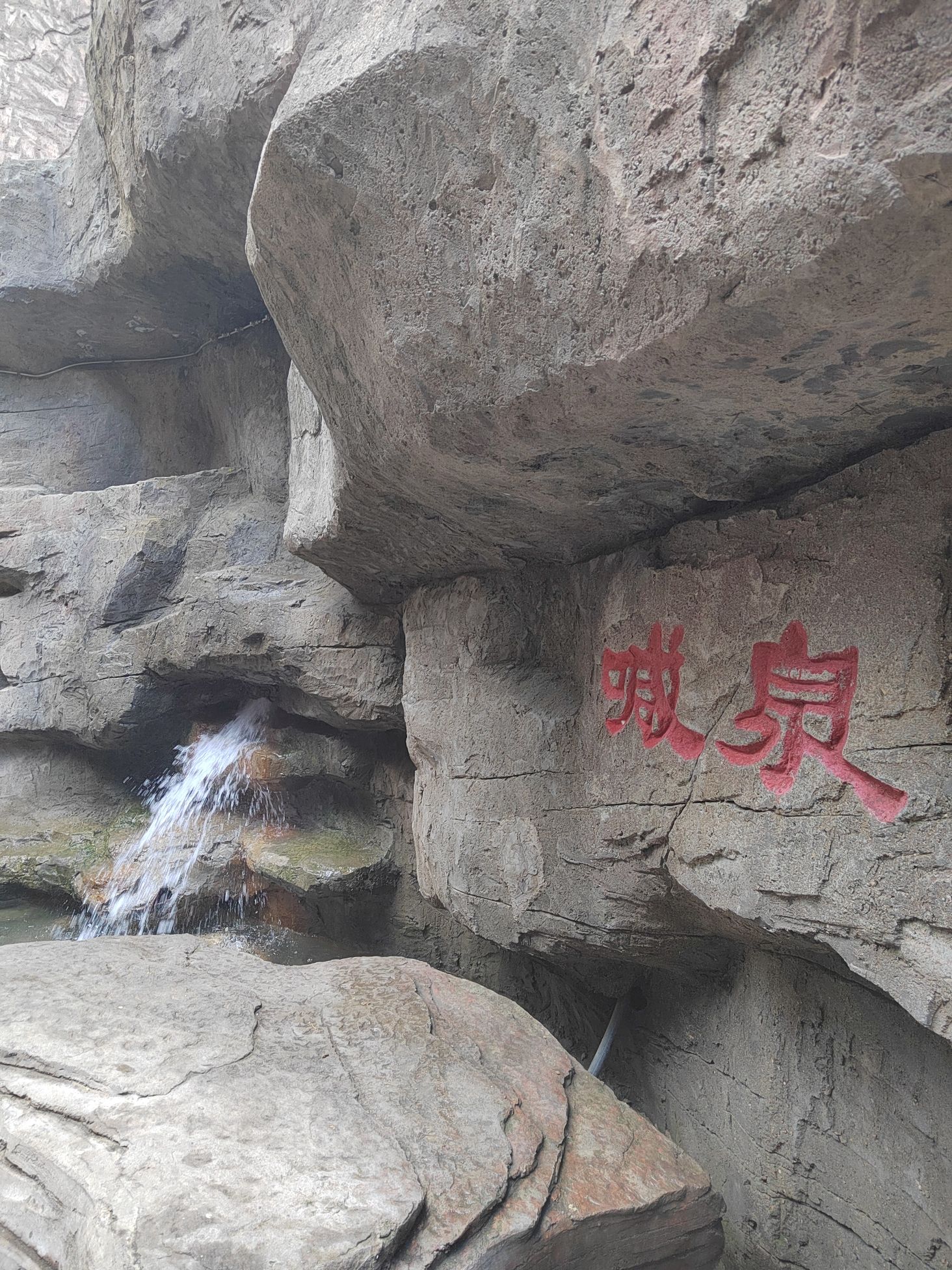 成吉思汗公园旅行图片 3