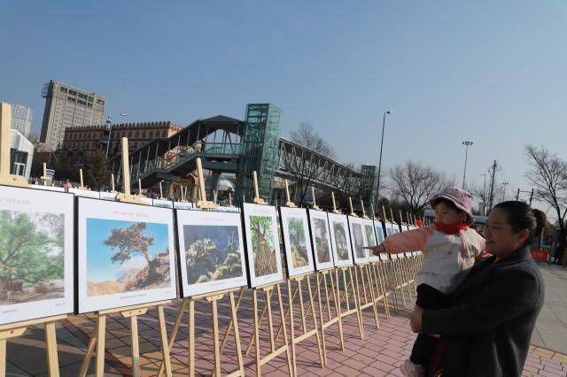 苏雅拉公园旅行图片 2