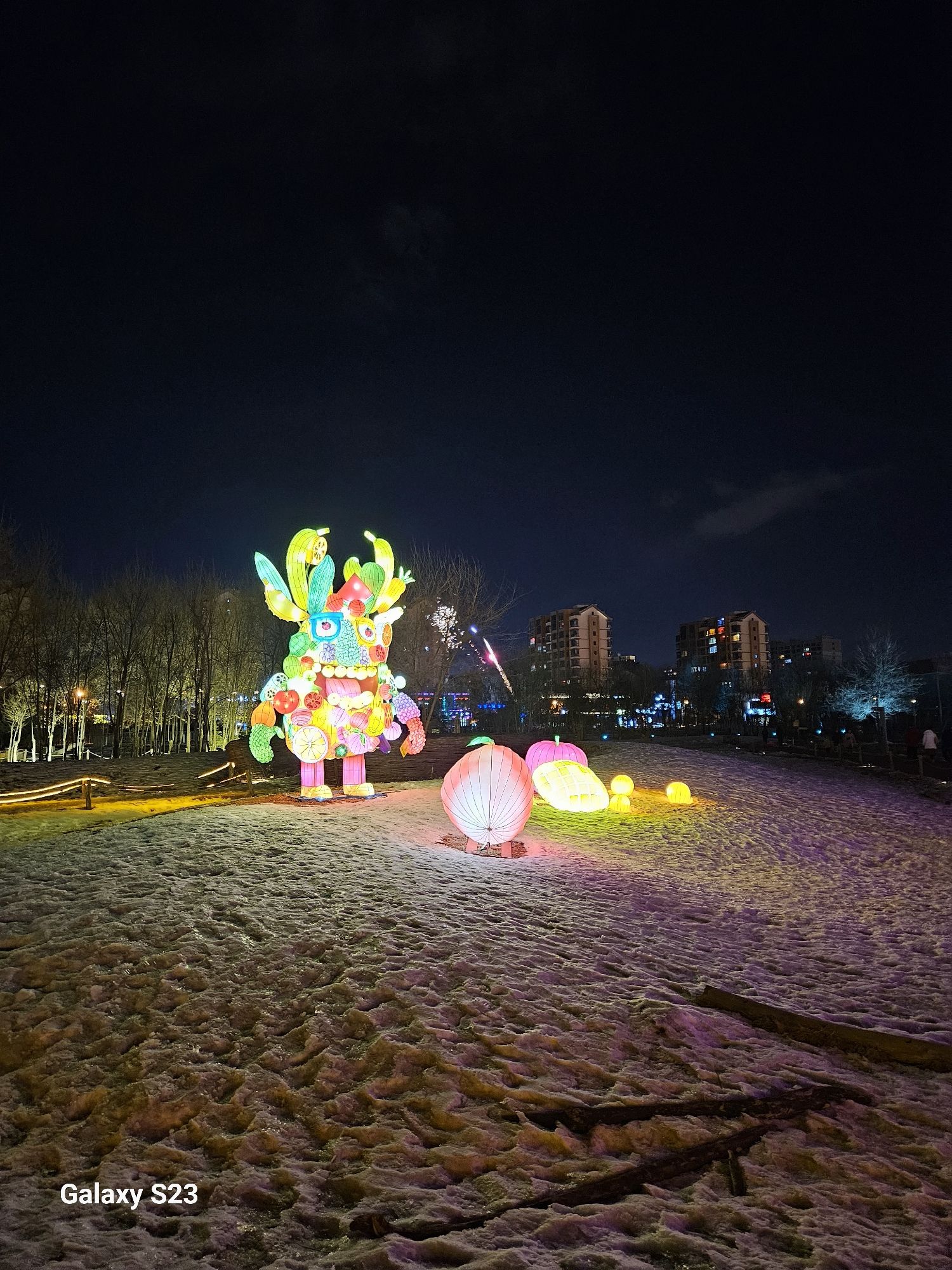 团结公园旅行图片 1
