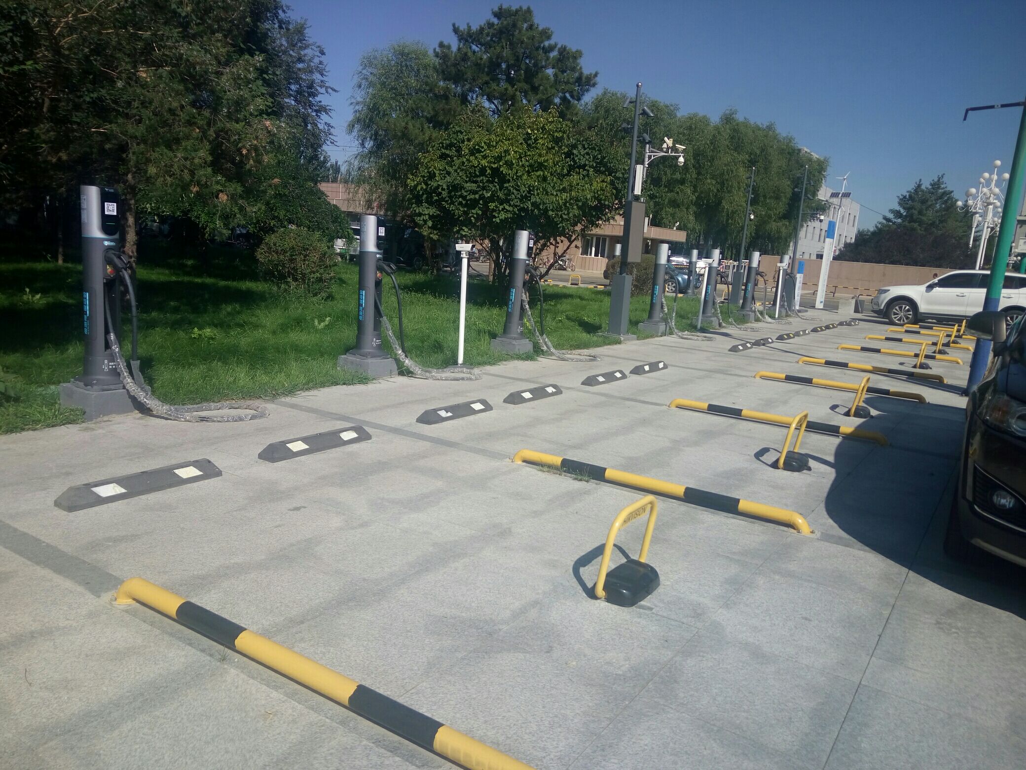赛罕区新市区广场旅行图片 2