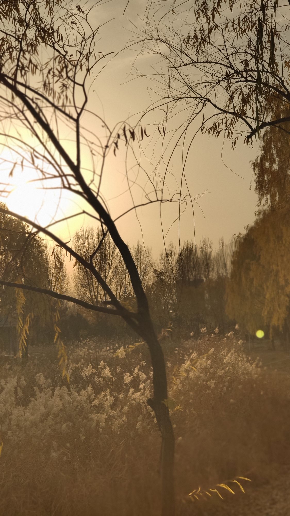 扎达盖公园旅行图片 3