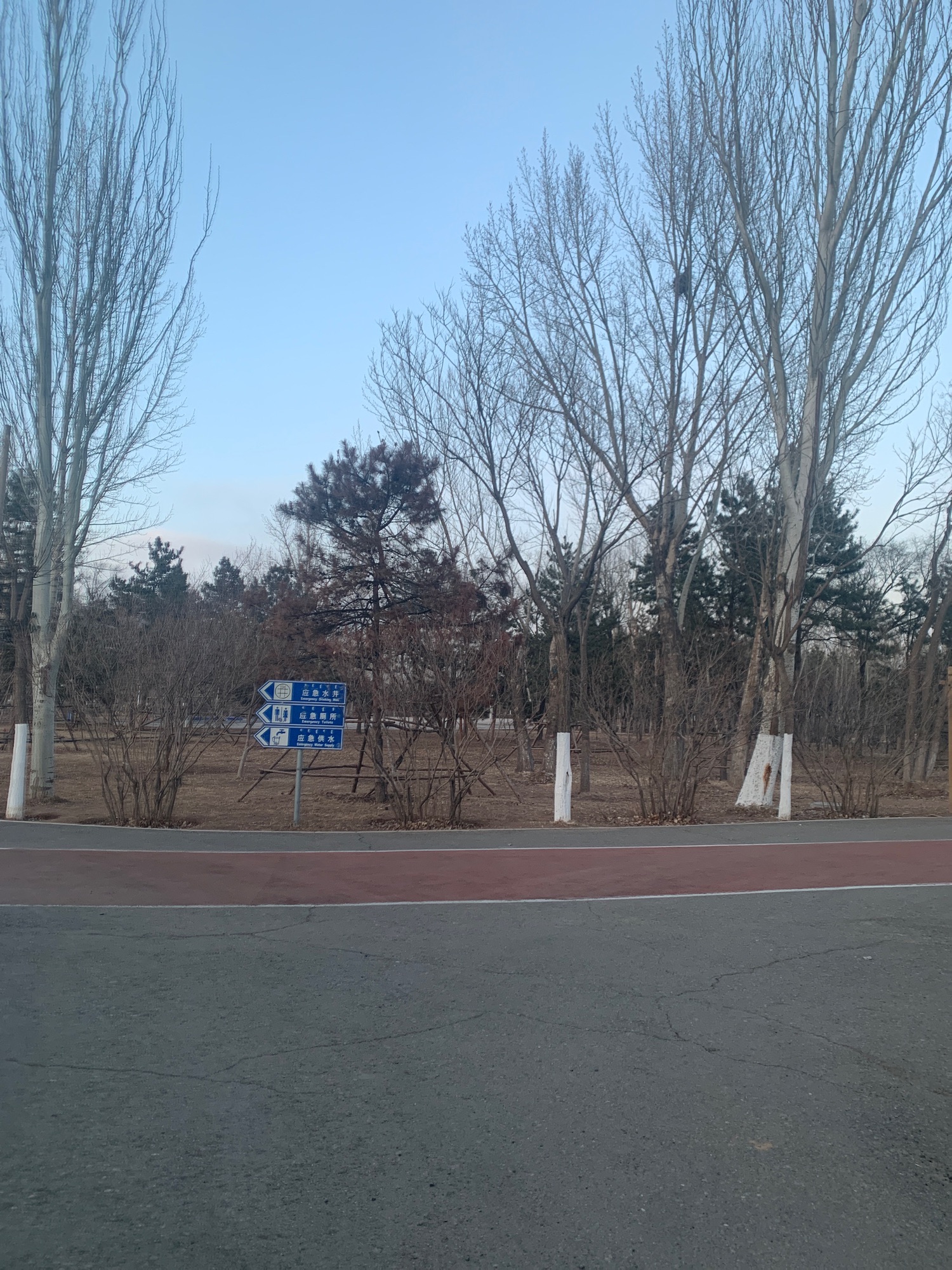 扎达盖公园旅行图片 1