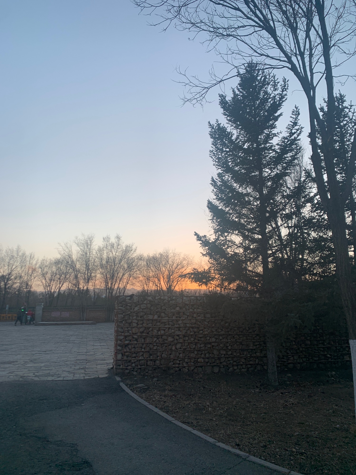 扎达盖公园旅行图片 3