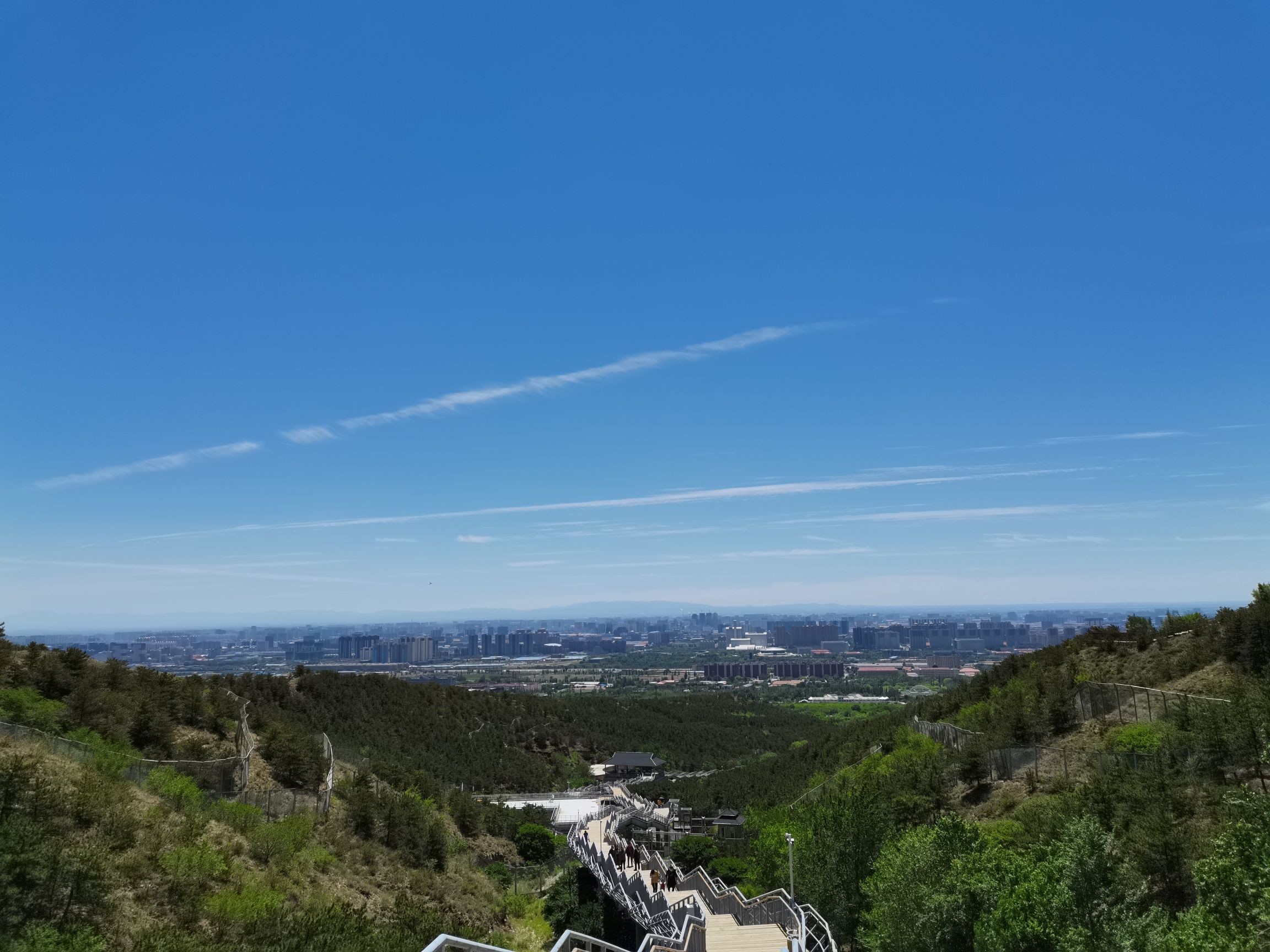 大青山野生动物园旅行图片 2